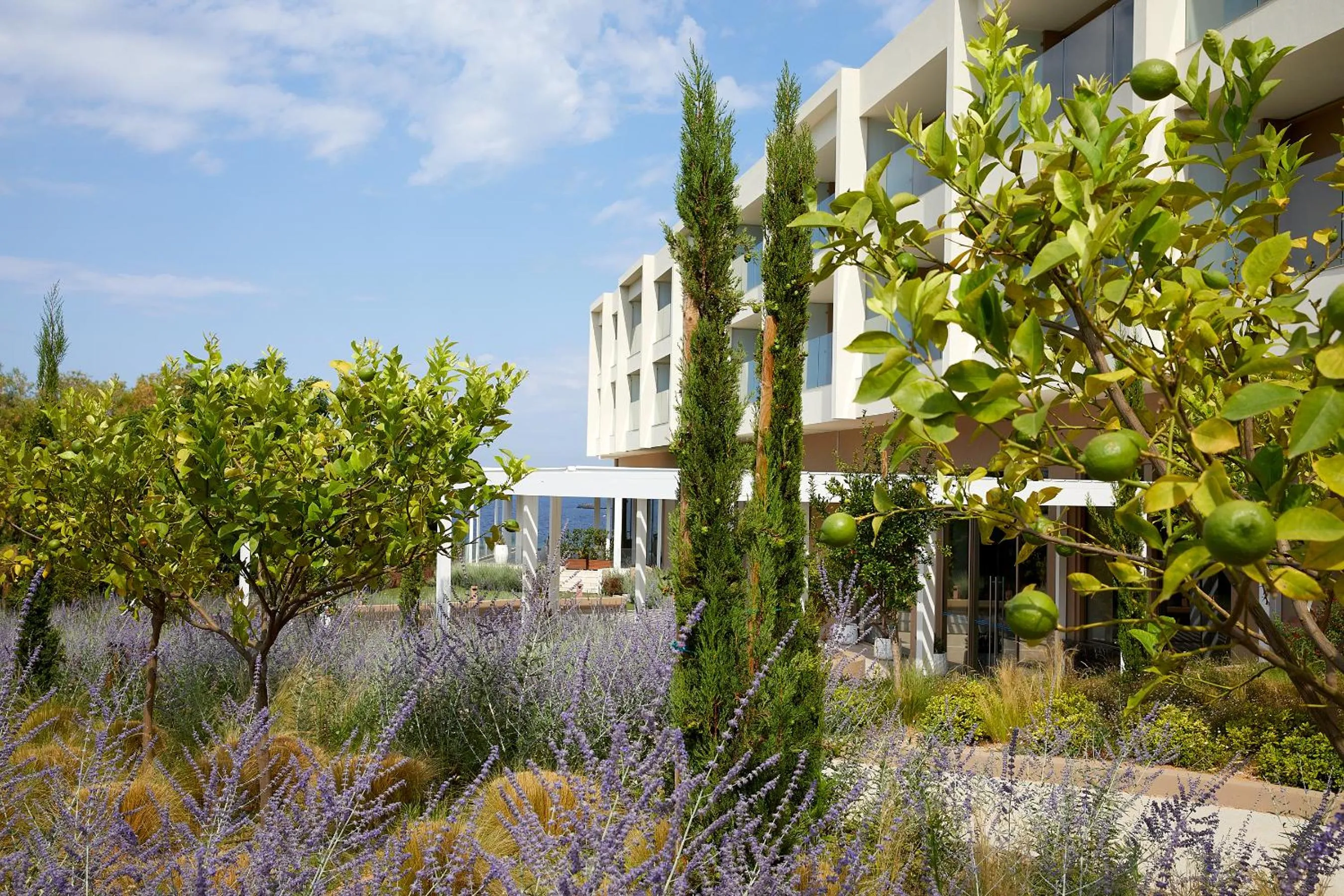 Property building in Vincci EverEden