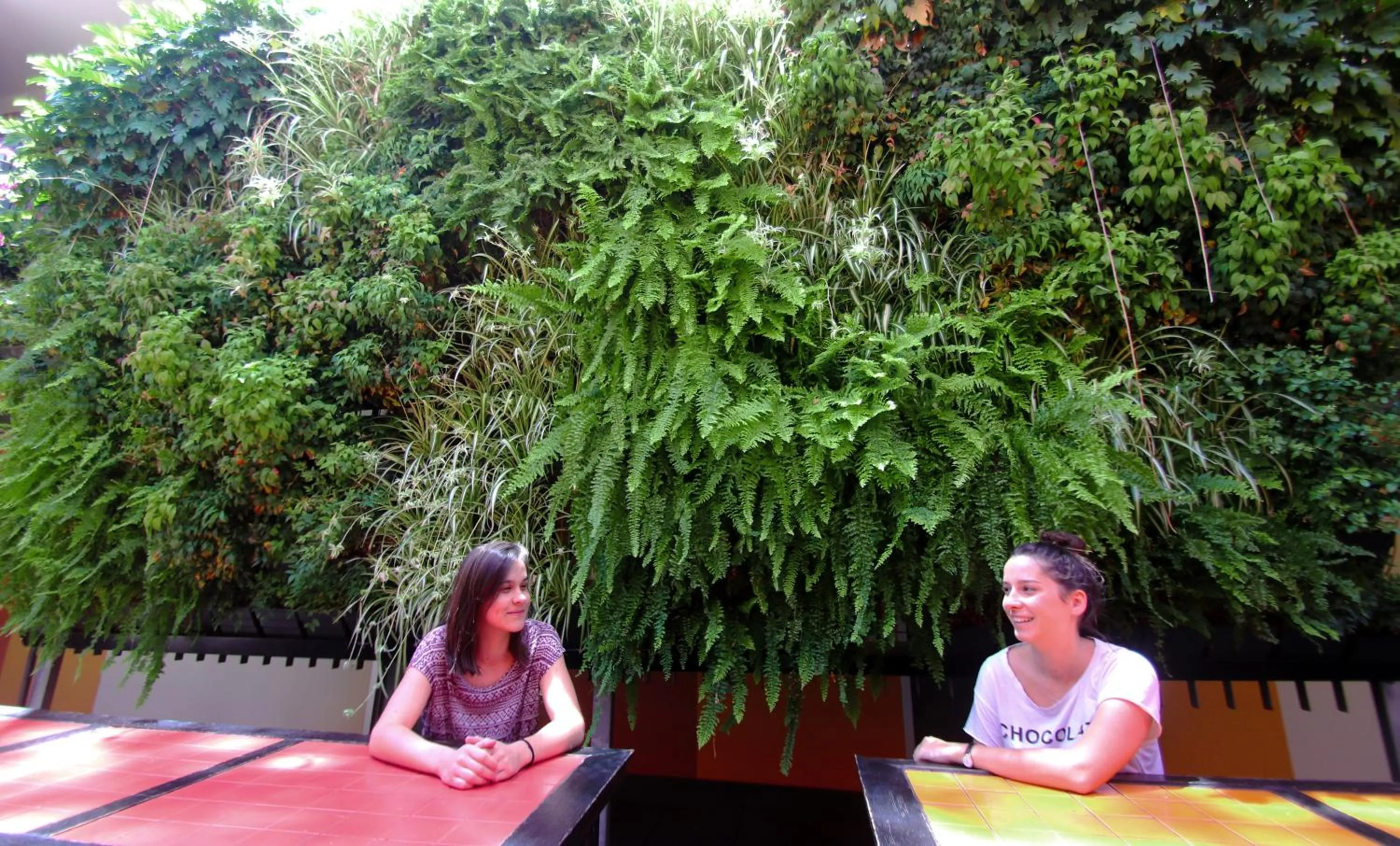 People in Original Backpackers