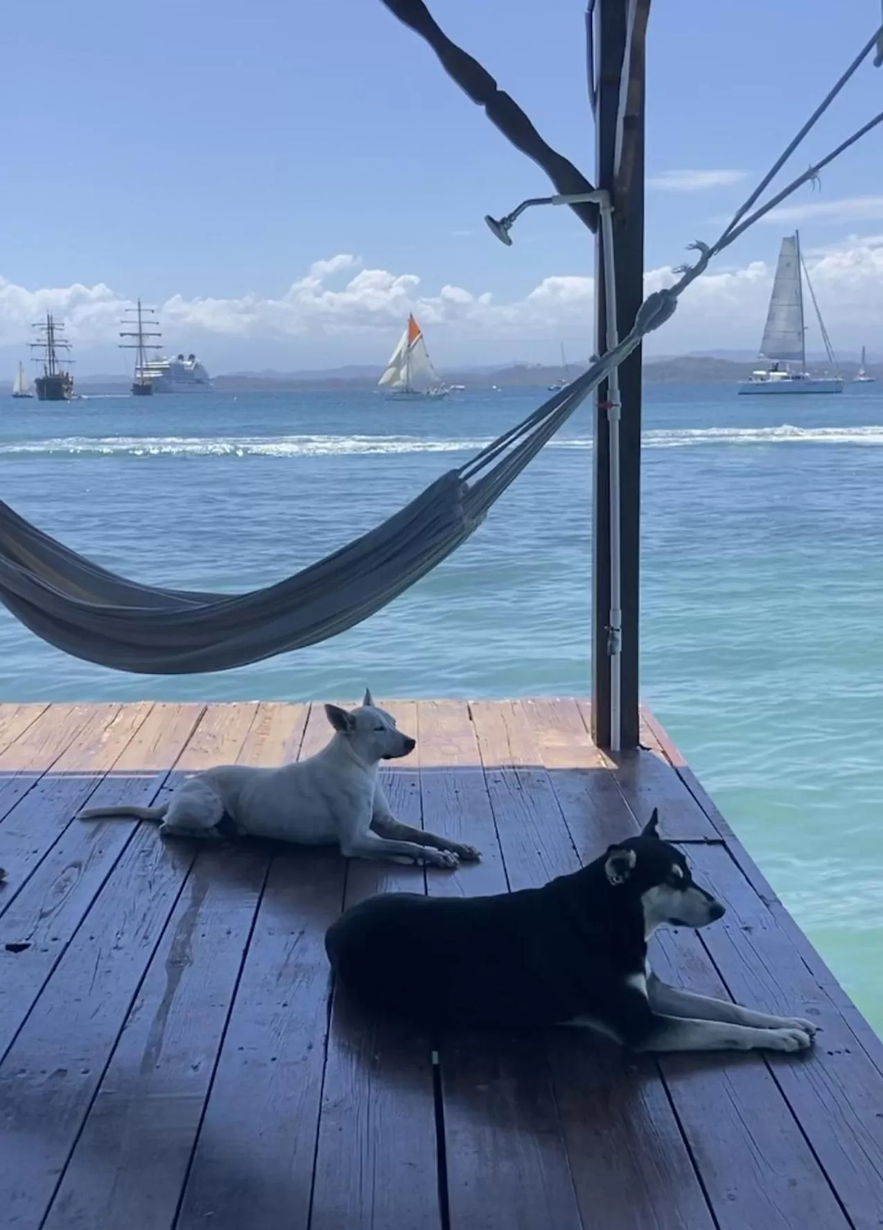 Casa Acuario Boutique Hotel