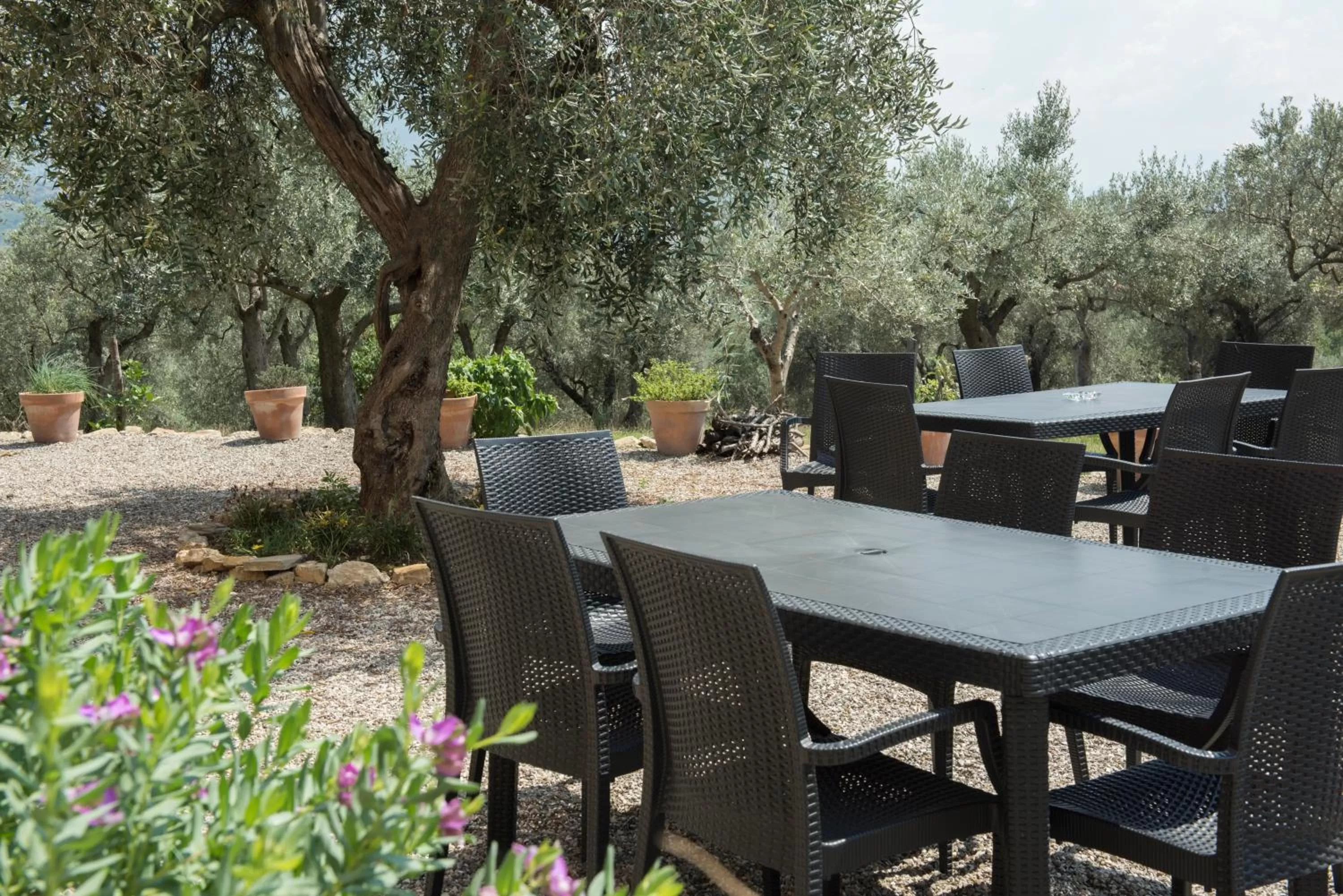 Property building in B&B Rifugio tra gli Ulivi