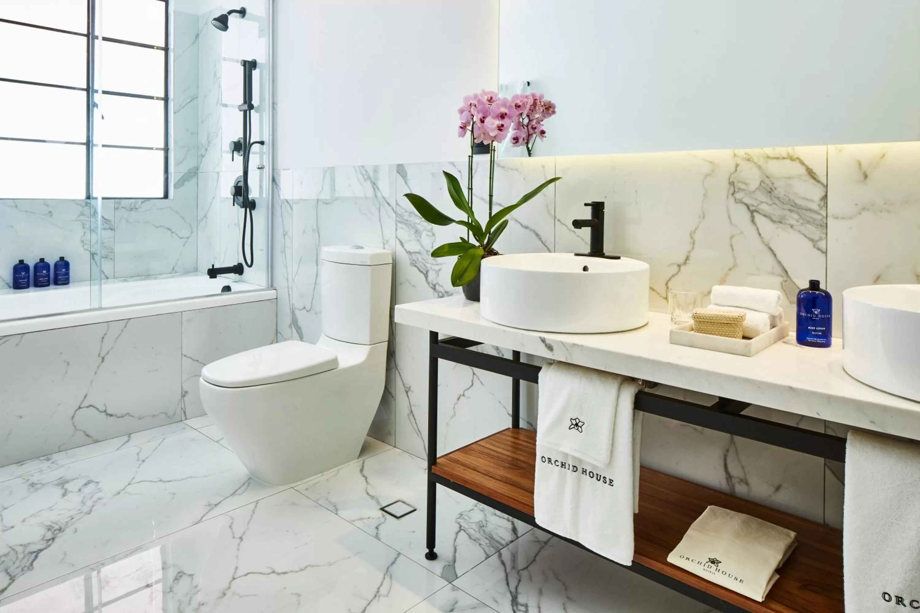 Shower in Orchid House Mexico City