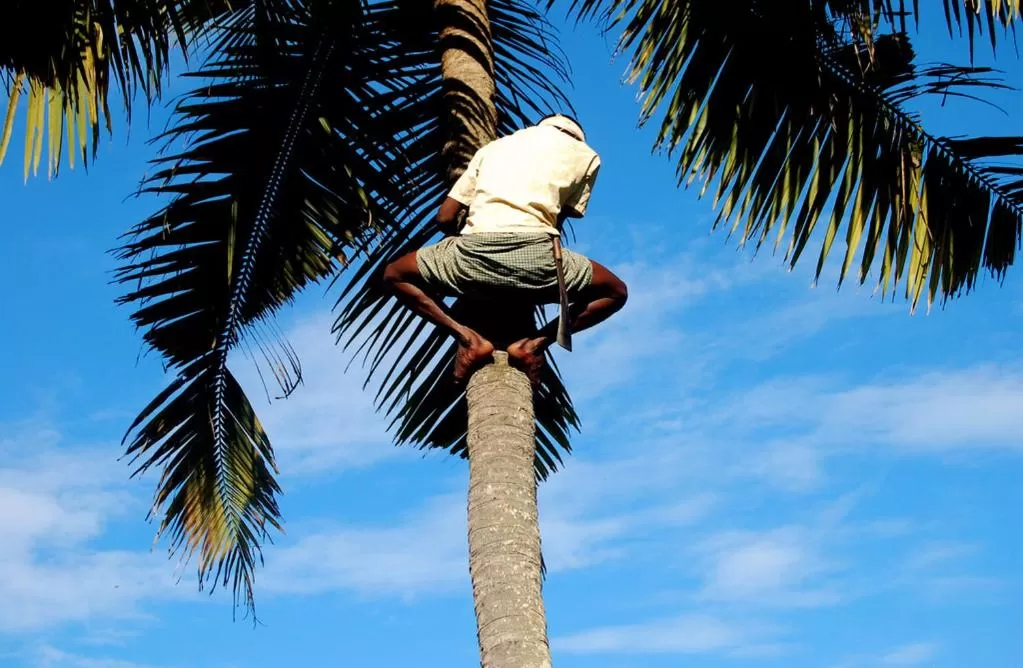 Other in Villa Jacaranda