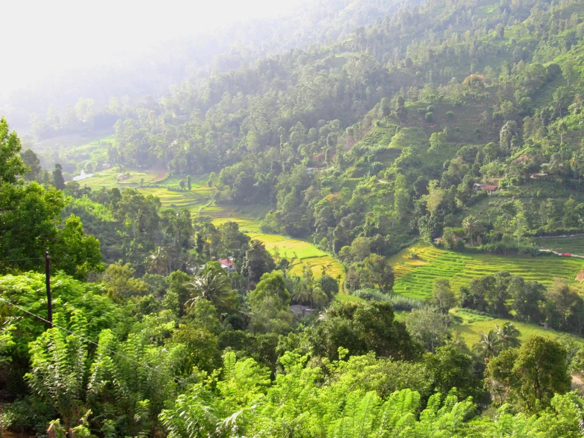 View (from property/room), Bird's-eye View in Ornateview Hotel