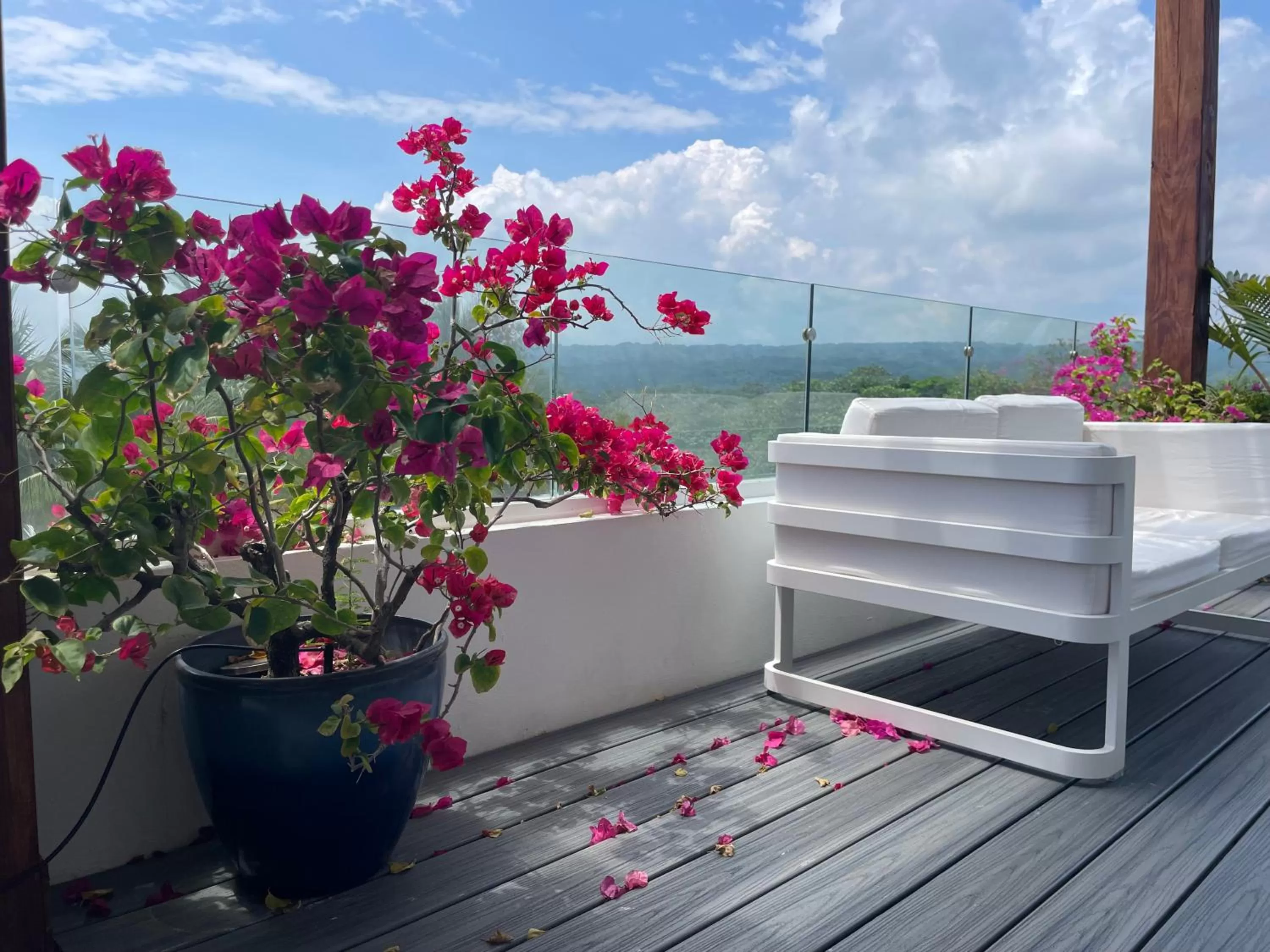 Natural landscape in Ultravioleta Boutique Residences