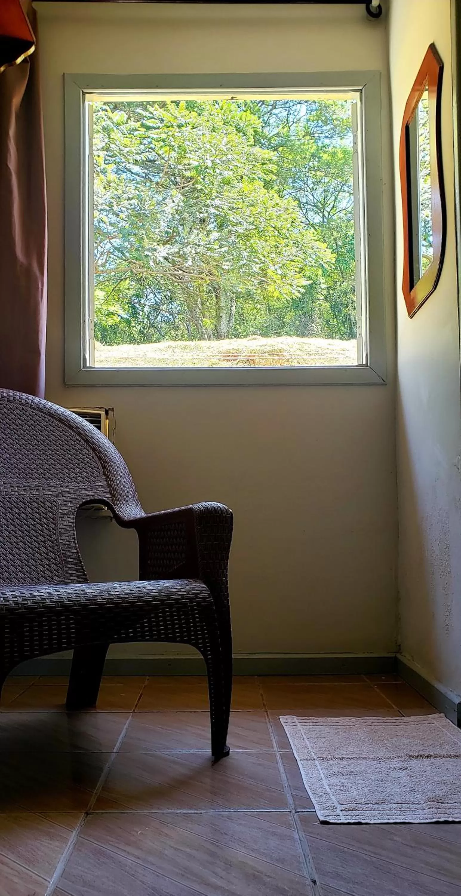 Garden view in Pousada Solar da Montanha