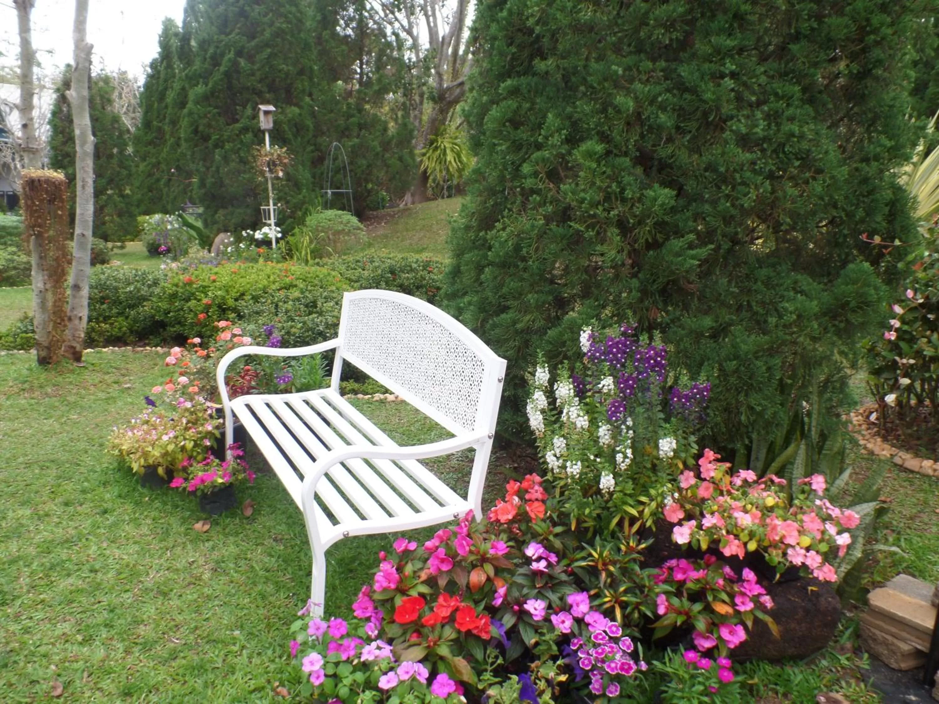 Garden in Baan JaoKorKluay บ้านเจ้ากอกล้วย