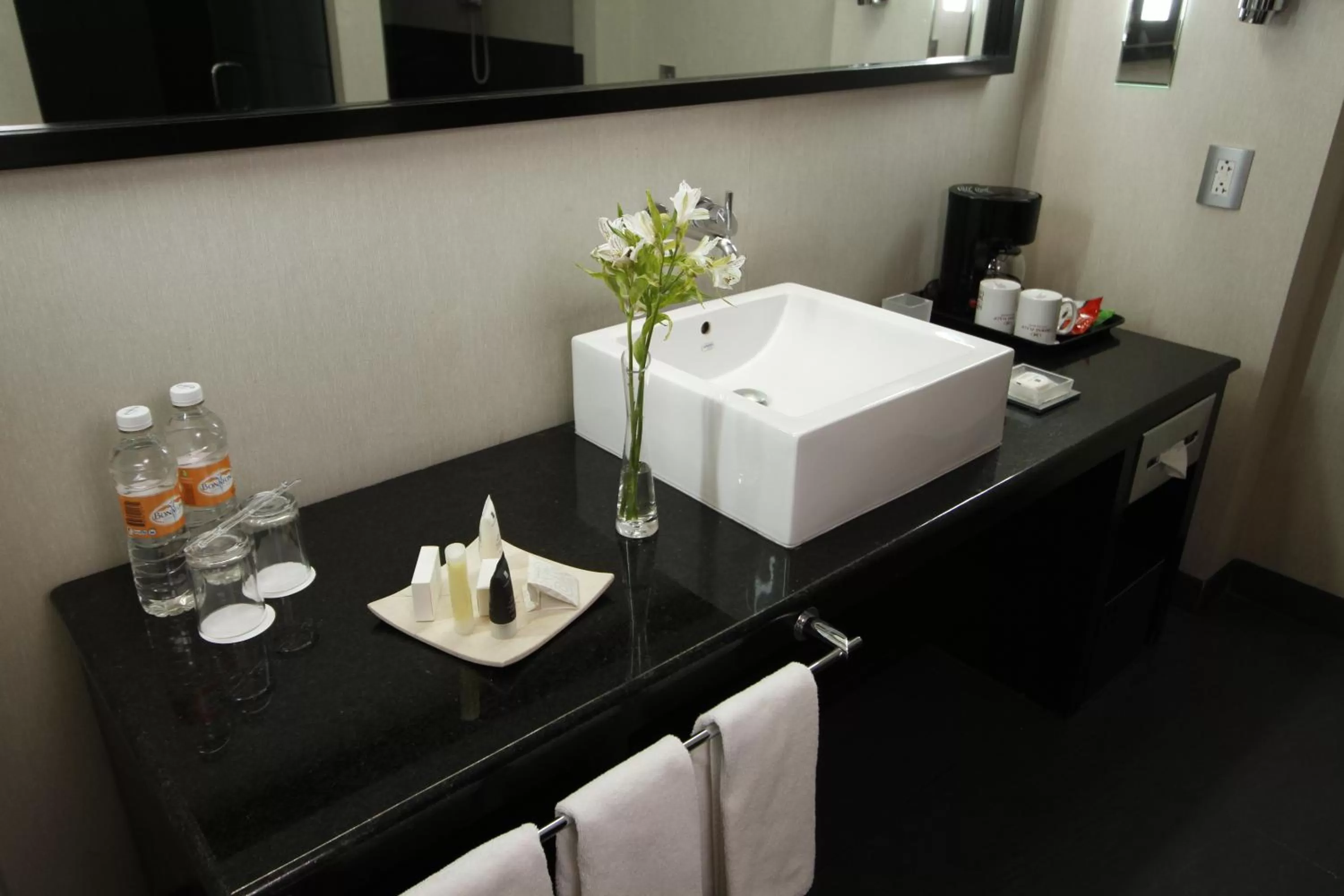 Toilet in Crowne Plaza Toluca - Lancaster by IHG