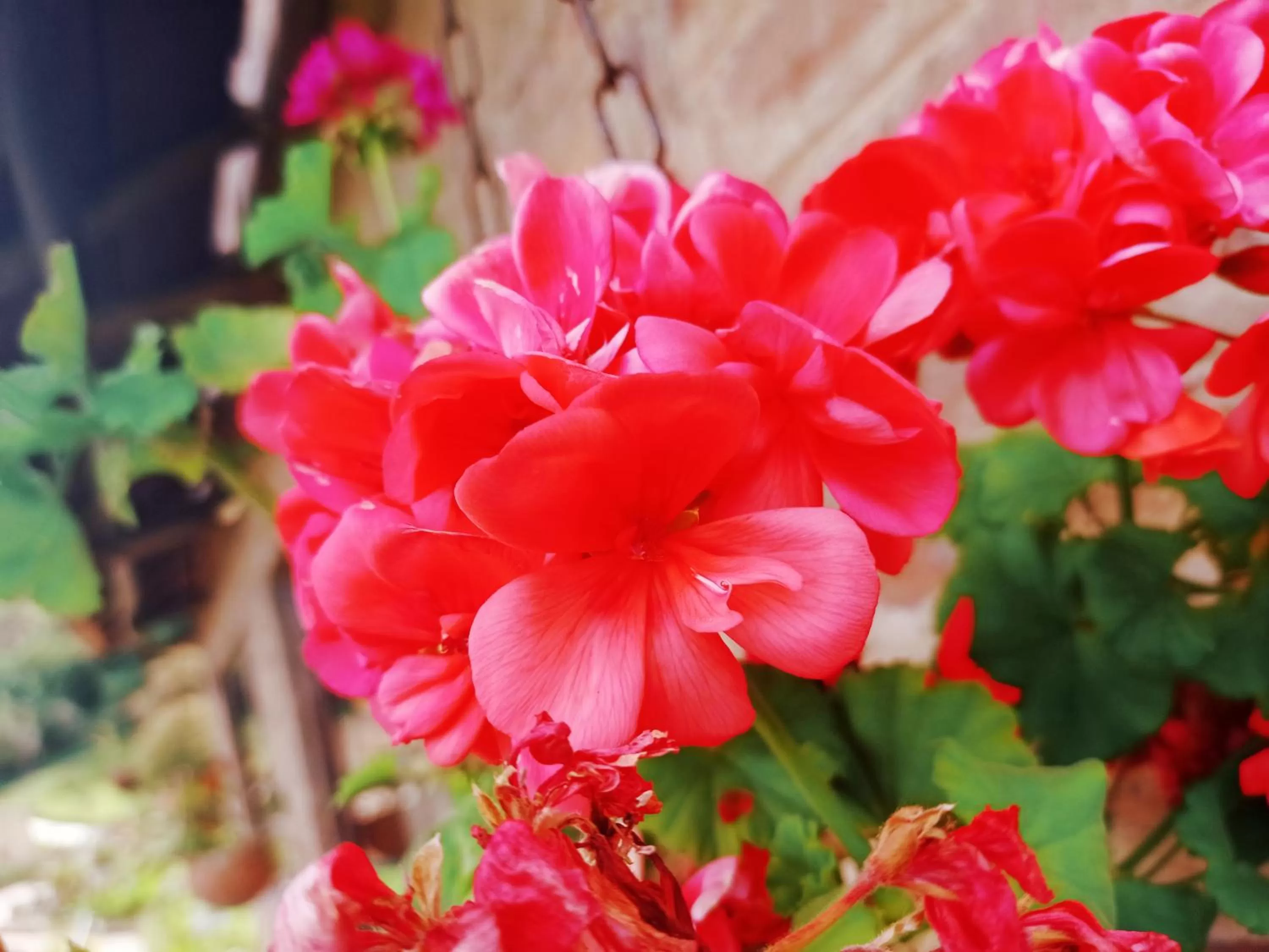 Hotel Refugio Pozo Azul