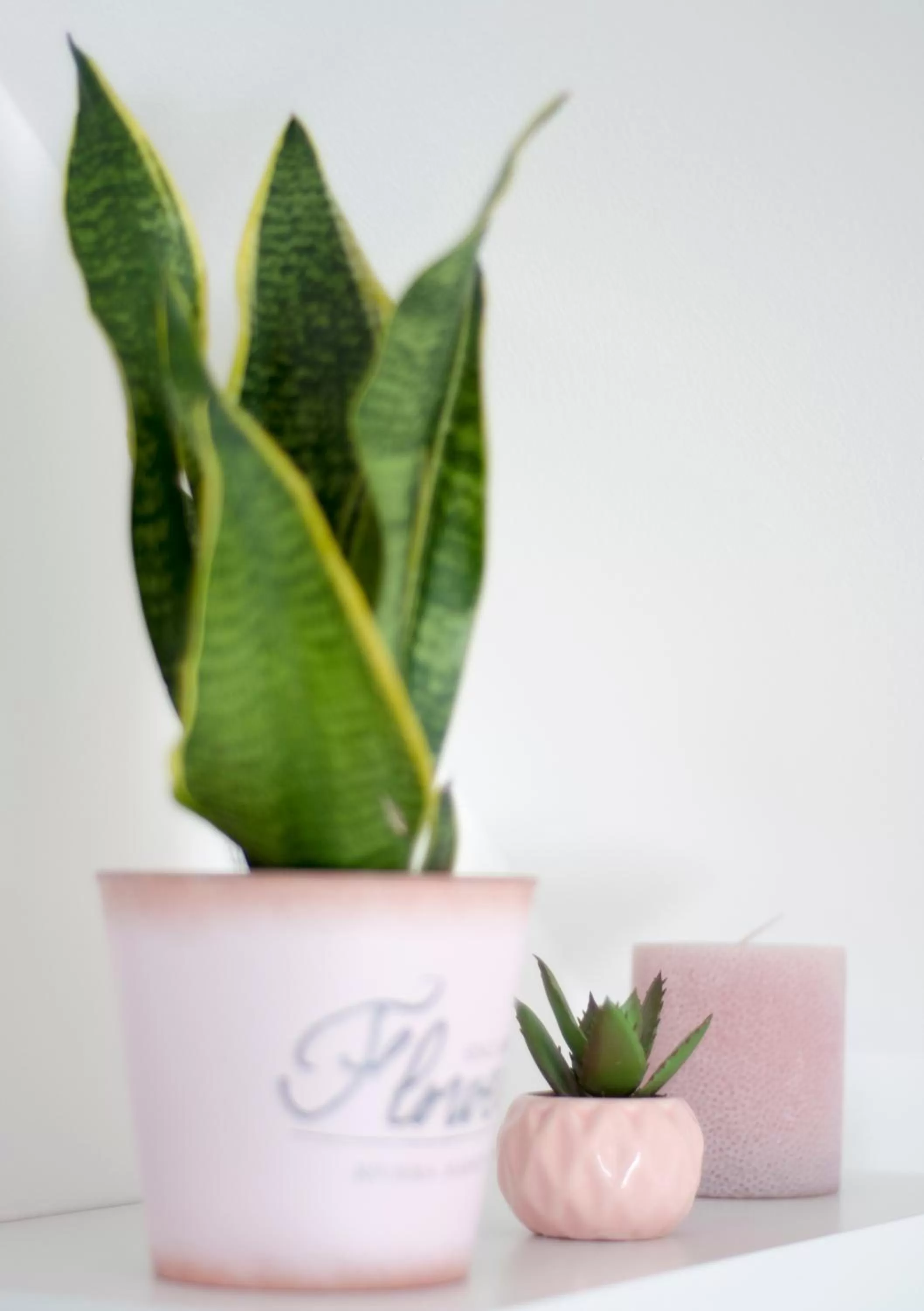 Photo of the whole room in Villa Tara Bük