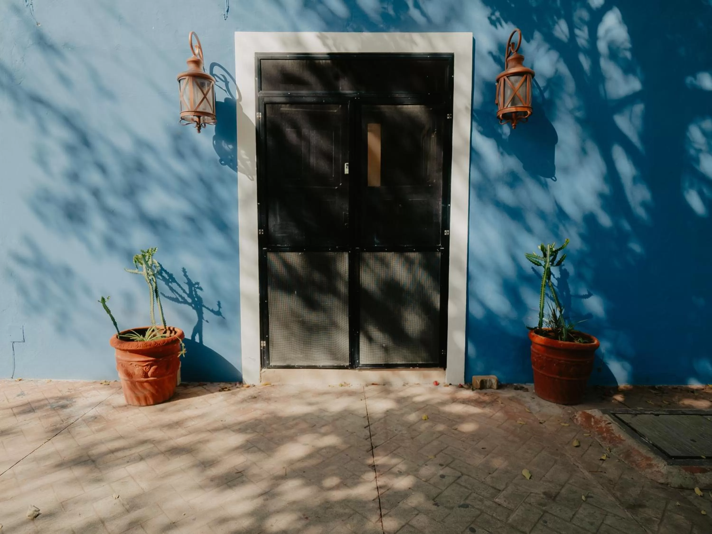 Nido Colibrí - Zona Remate de Paseo Montejo