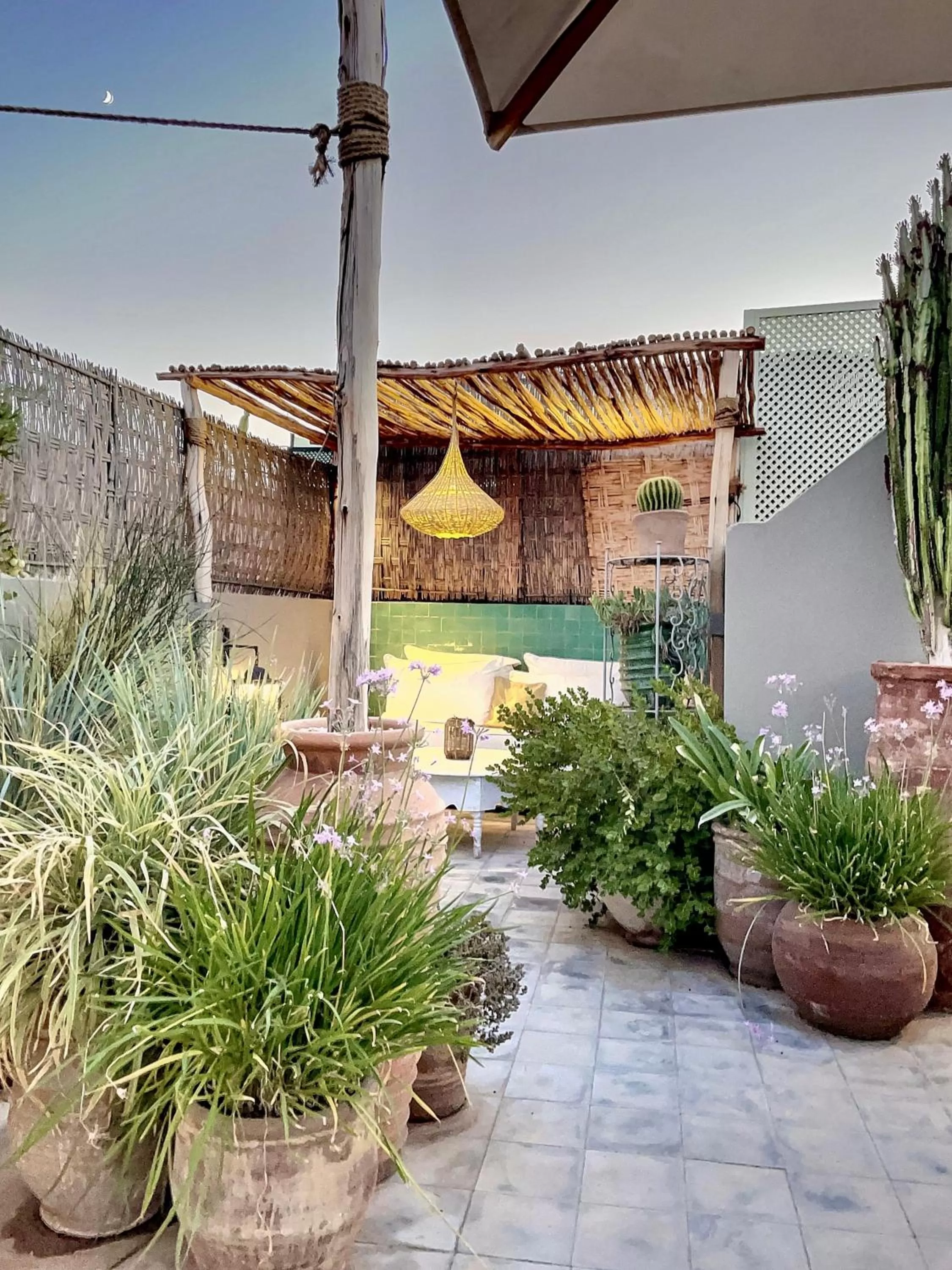 Balcony/Terrace in Riad Dar Chacha
