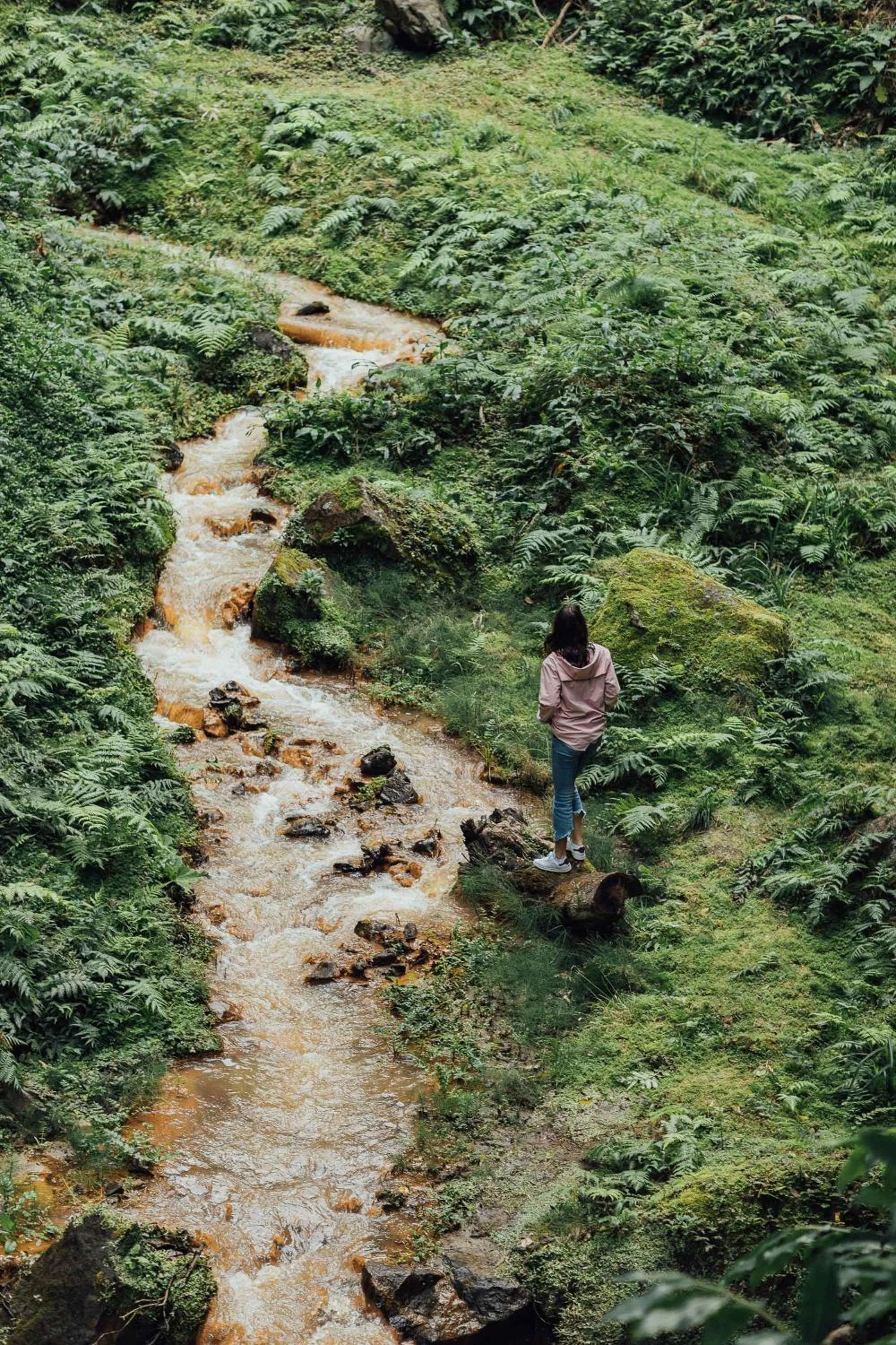 Natural landscape in Furnas Boutique Hotel - Thermal & Spa