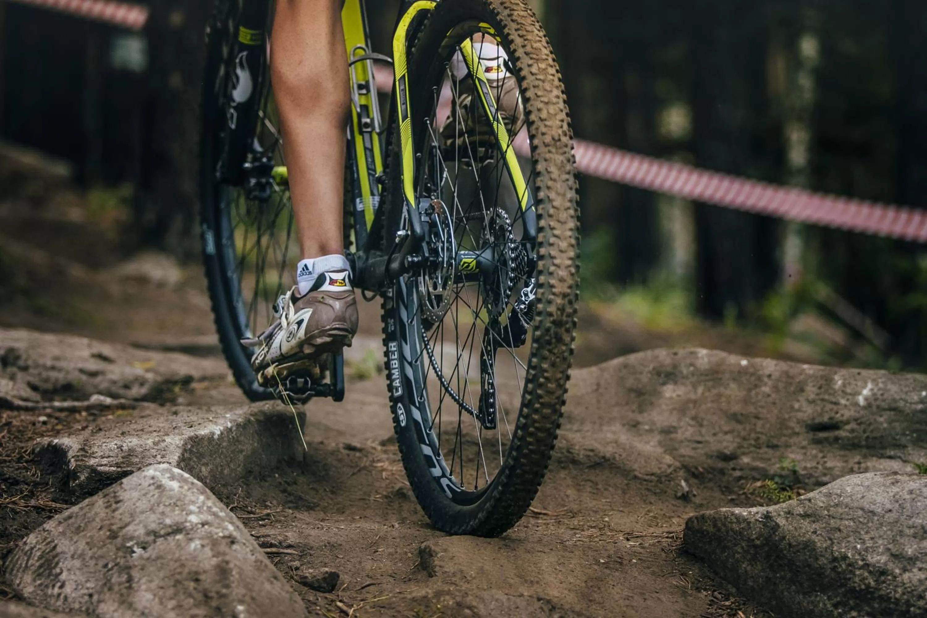 Cycling in Fletcher Hotel-Restaurant Oud London