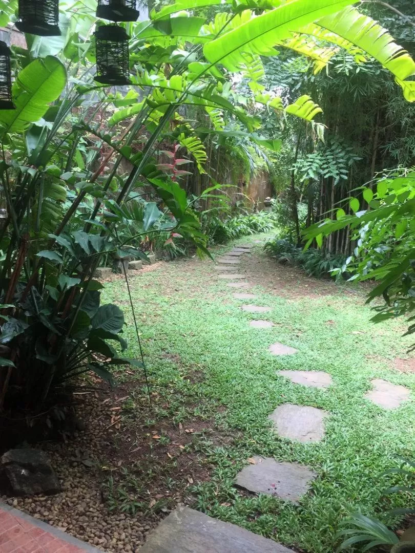 Garden view, Garden in Highbury Colombo
