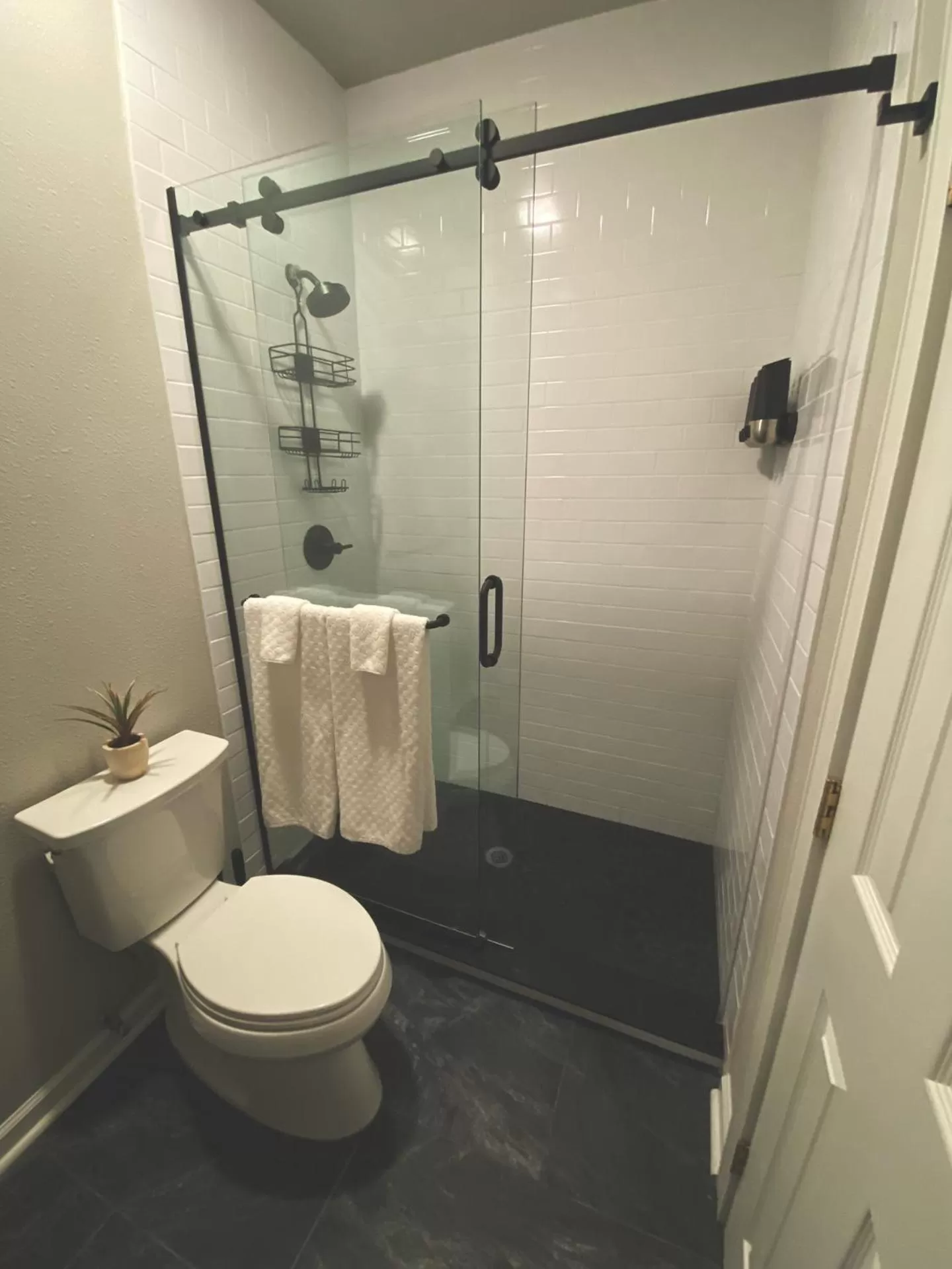 Shower in Winter Park Chateau