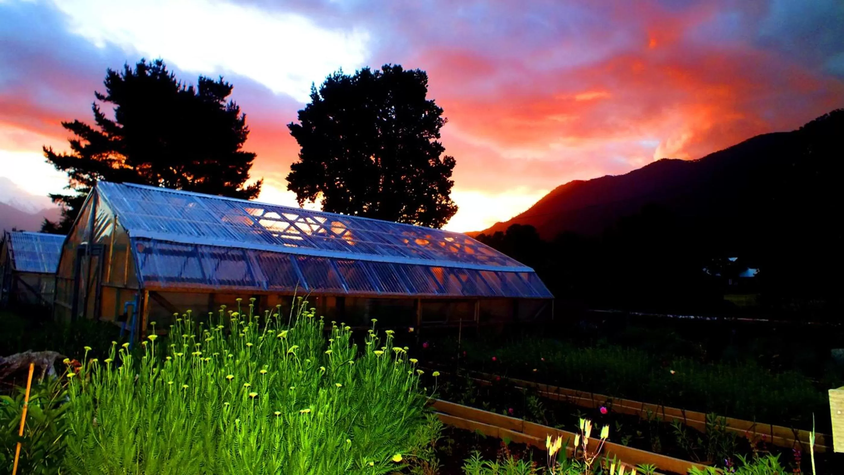 Garden view, Sunrise/Sunset in Hotel Salto del Carileufu