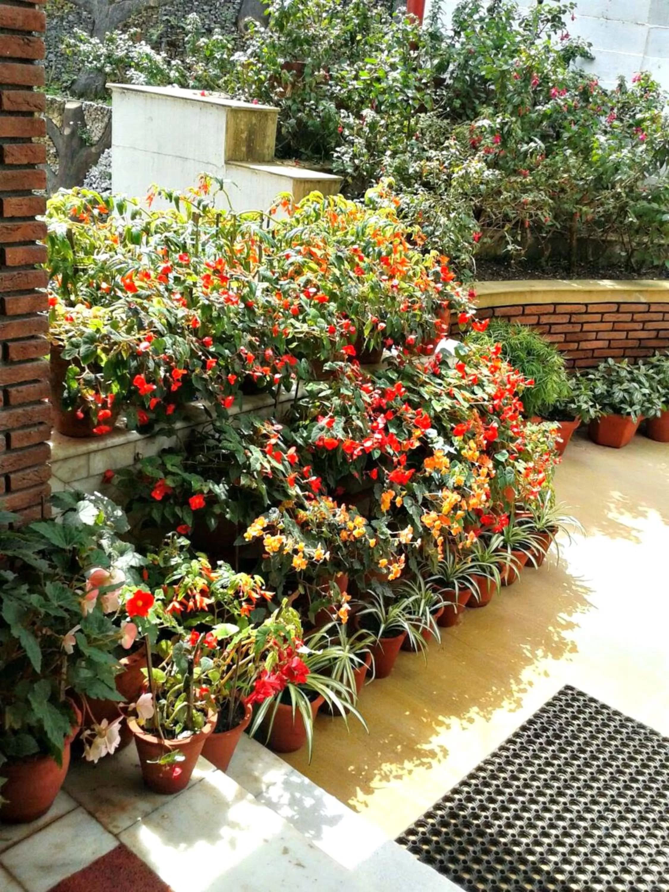 Garden in Hotel Shiva Continental