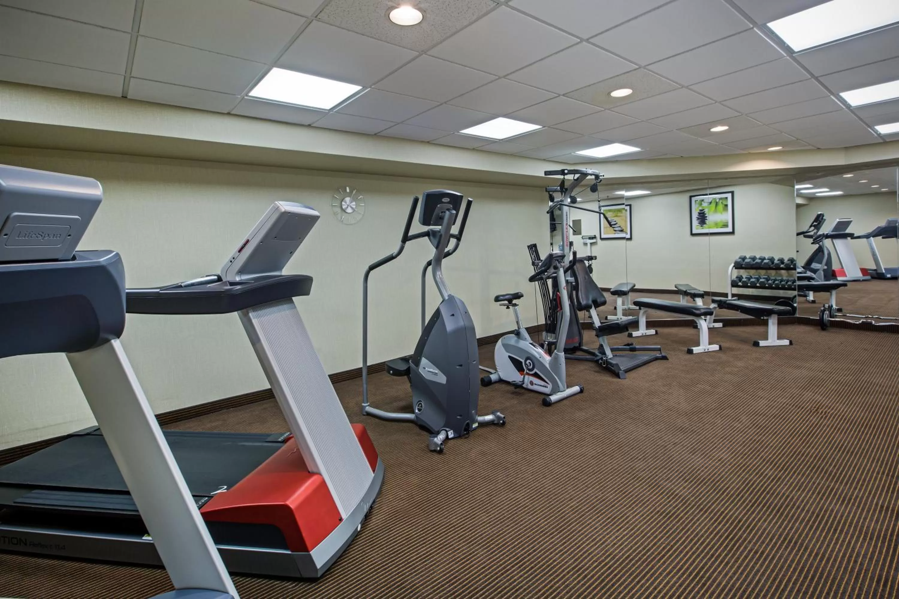 Fitness centre/facilities in Quality Inn & Suites Regina Downtown