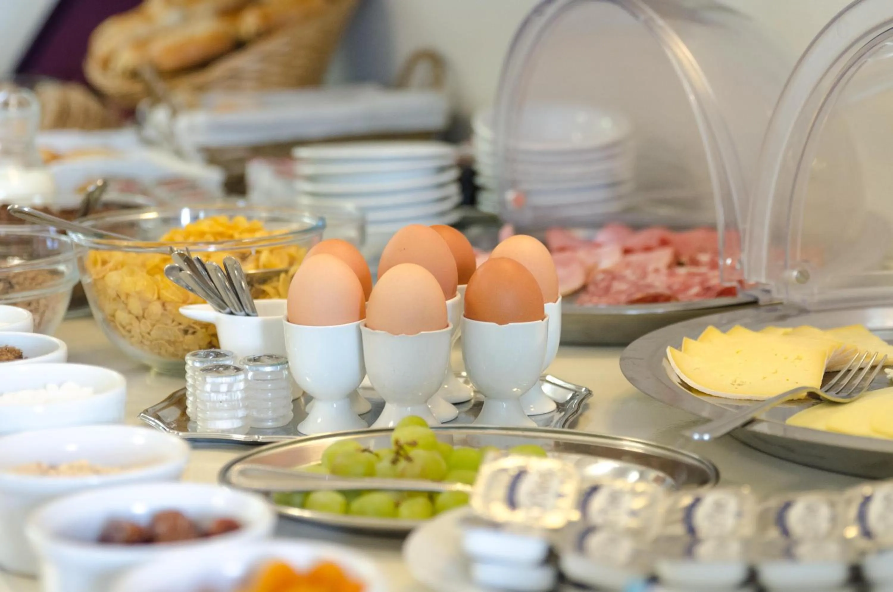 Budget Family Room in Hotel Gulden Vlies