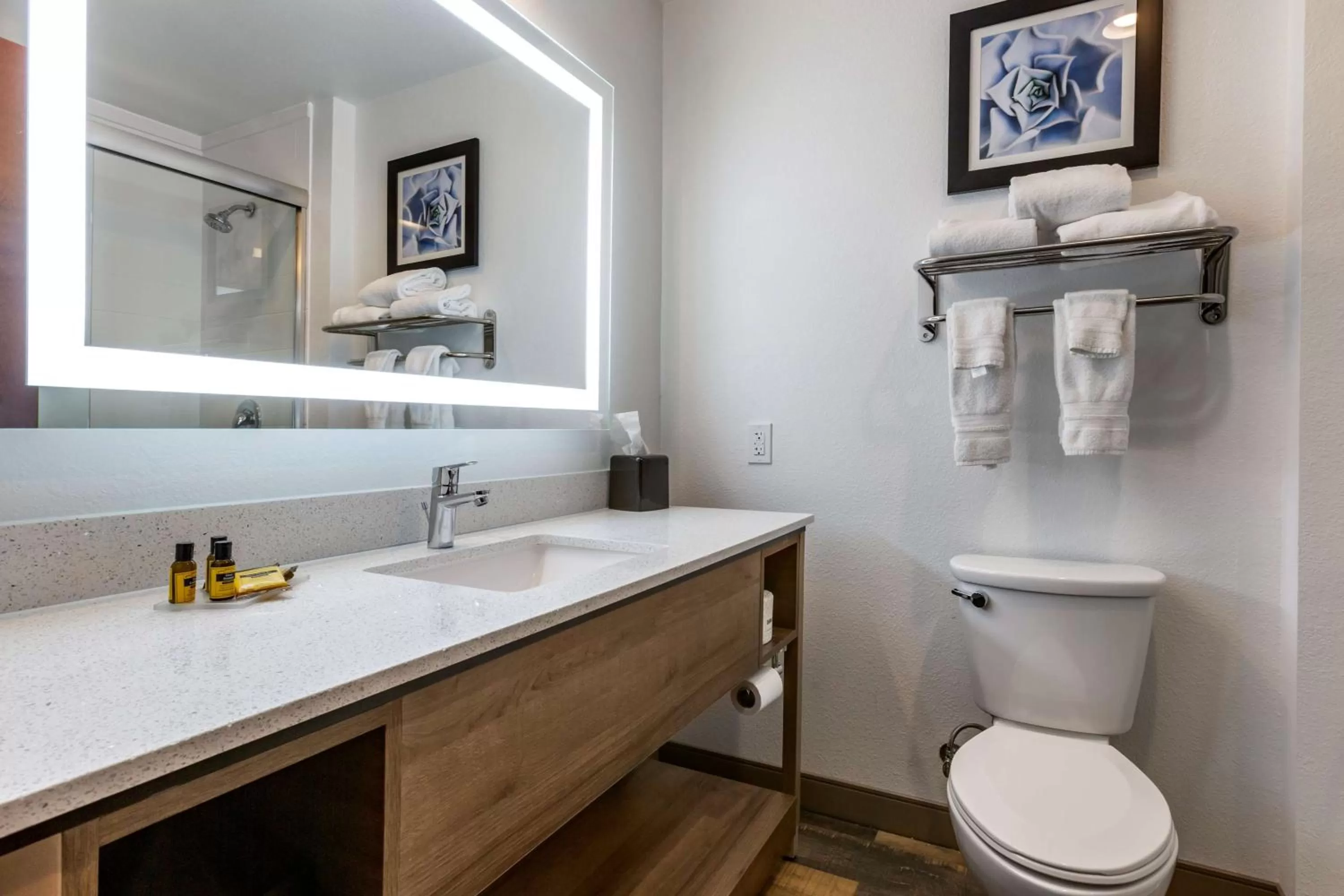 King Room with Communication Assistance in Best Western Plus Casa Grande Inn & Suites