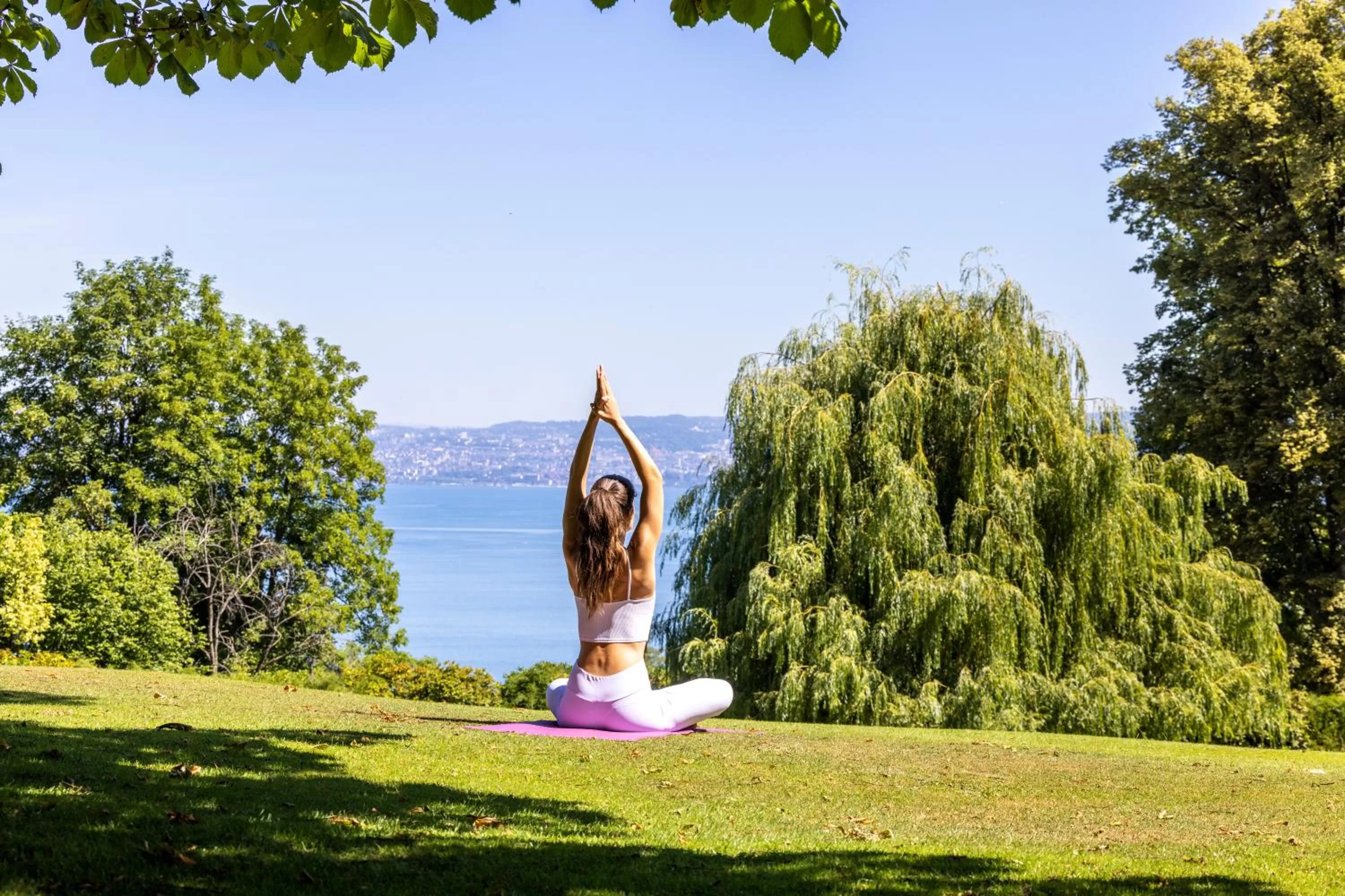 Garden in Hôtel Royal