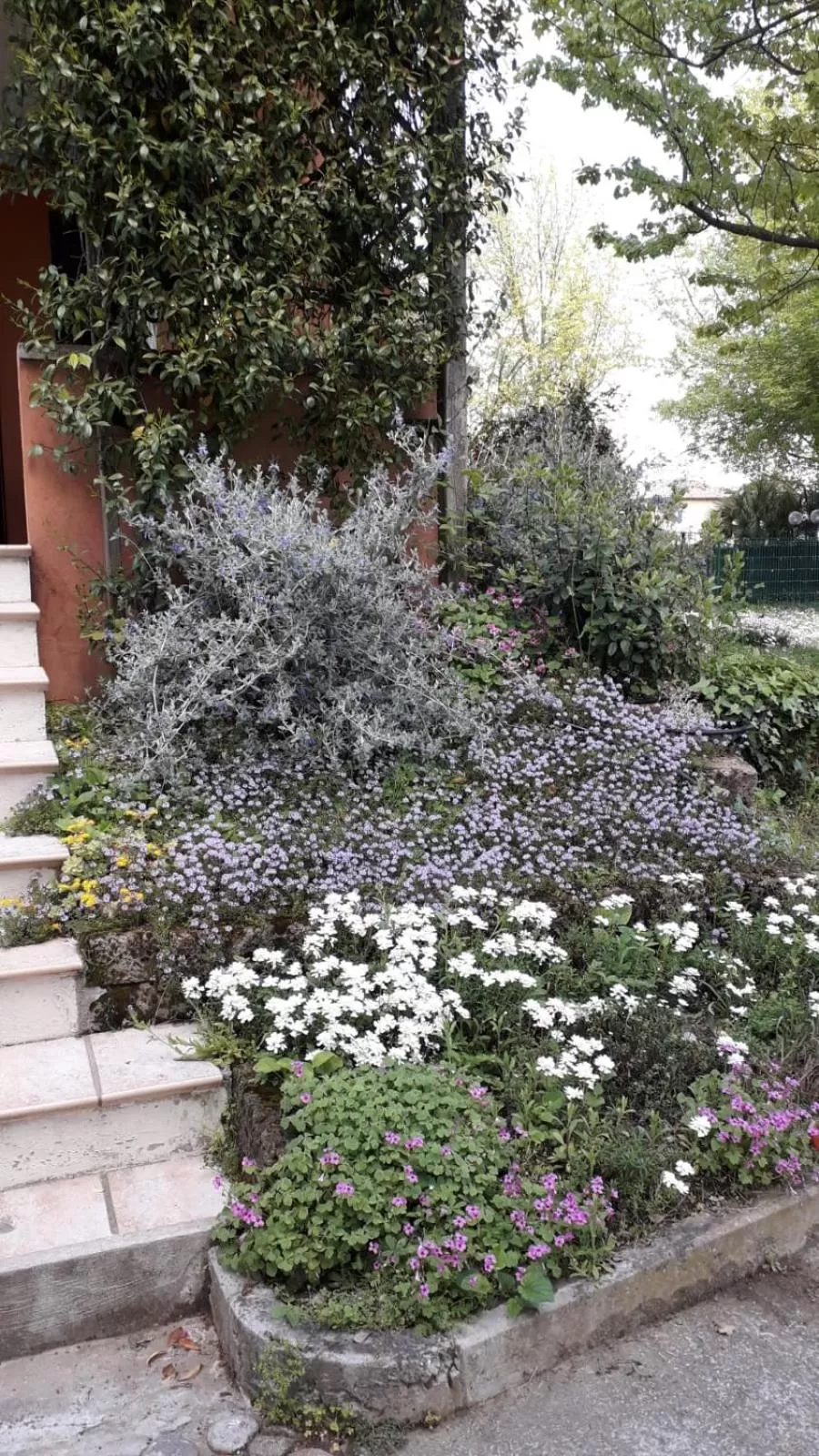 Garden in B&B Mo Va Là