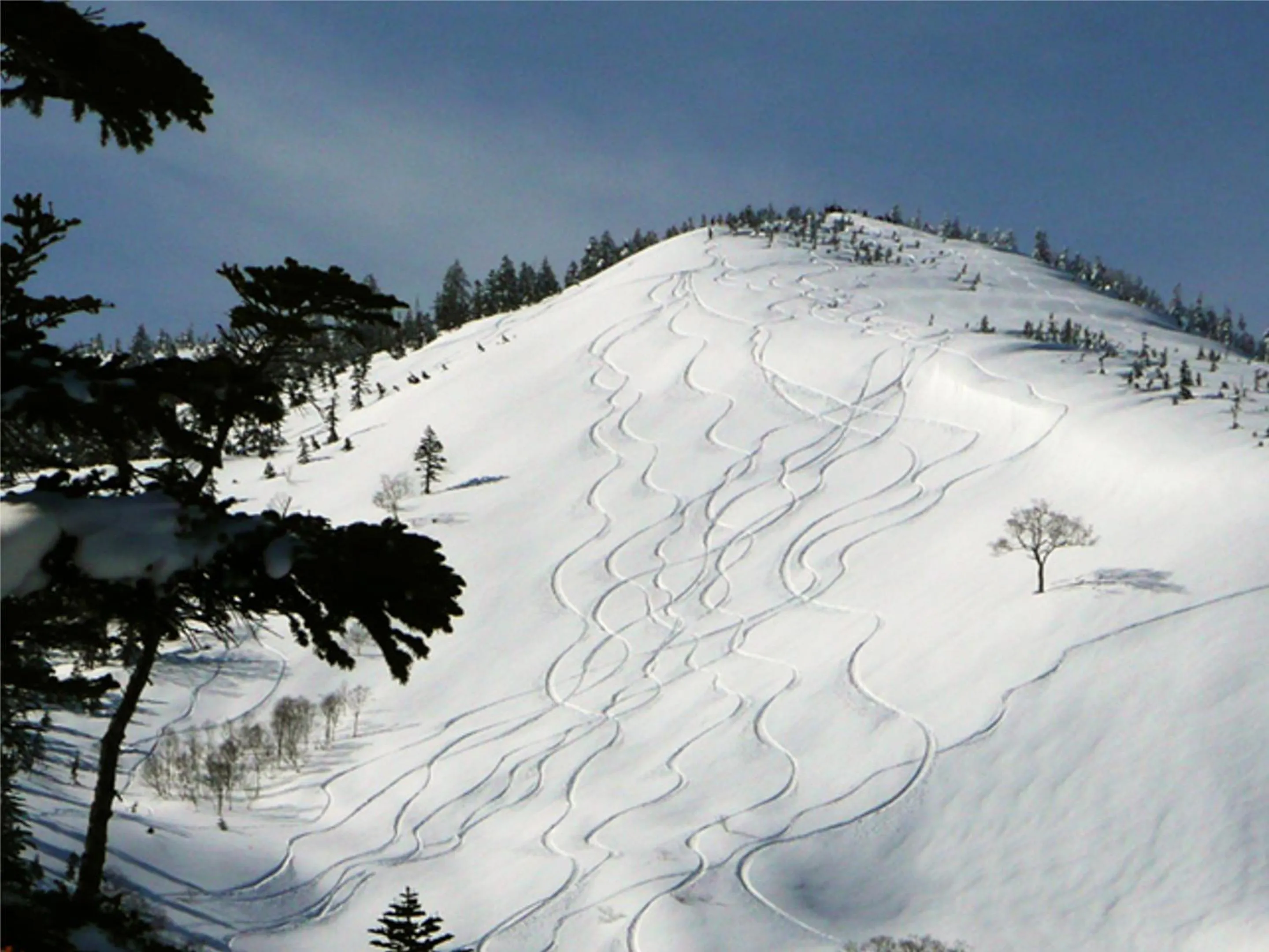 Skiing in Kagura White Horse Inn