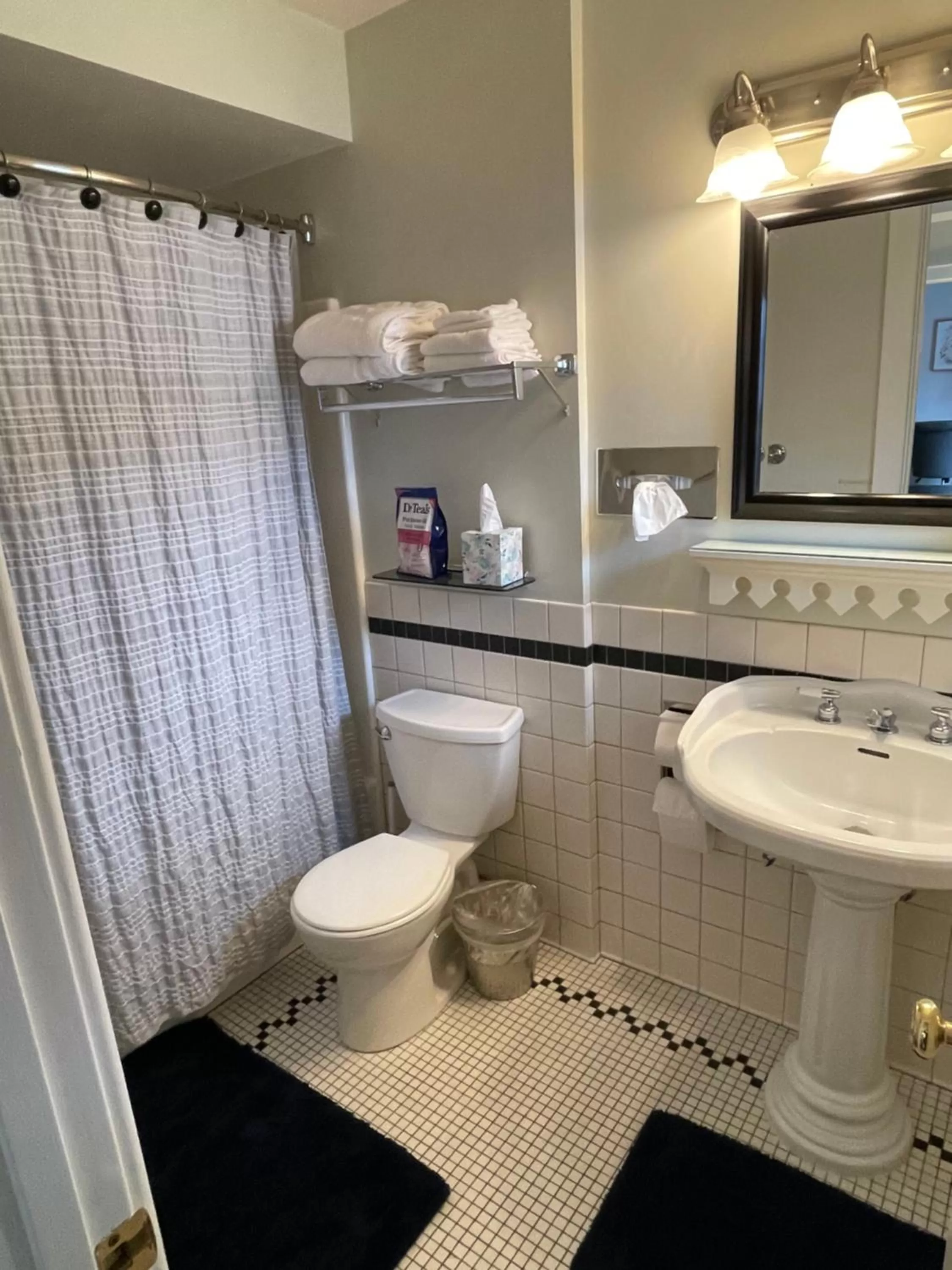 Shower, Bathroom in Goldsmith's River Front Inn
