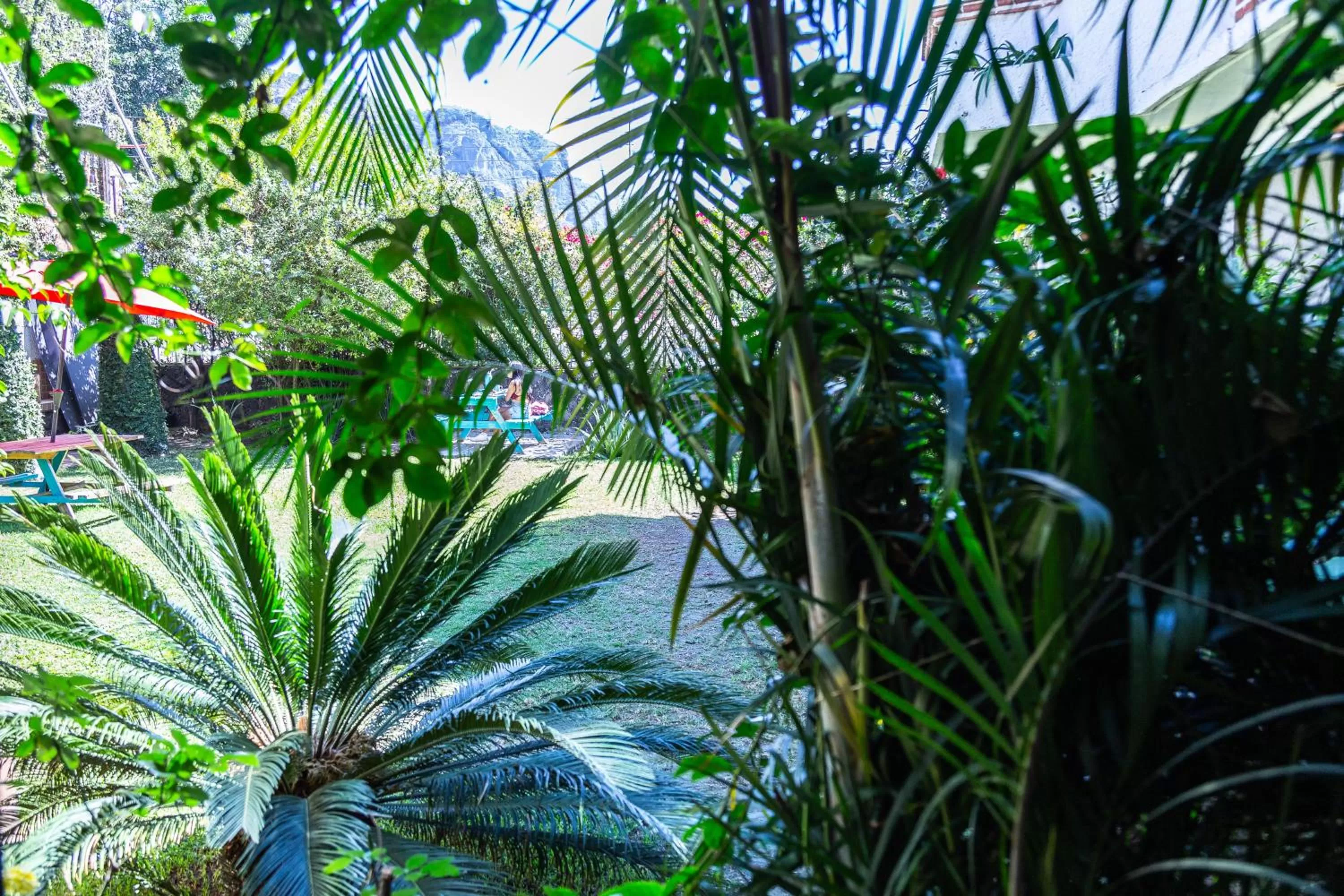 Garden view in Colibrí Turquesa