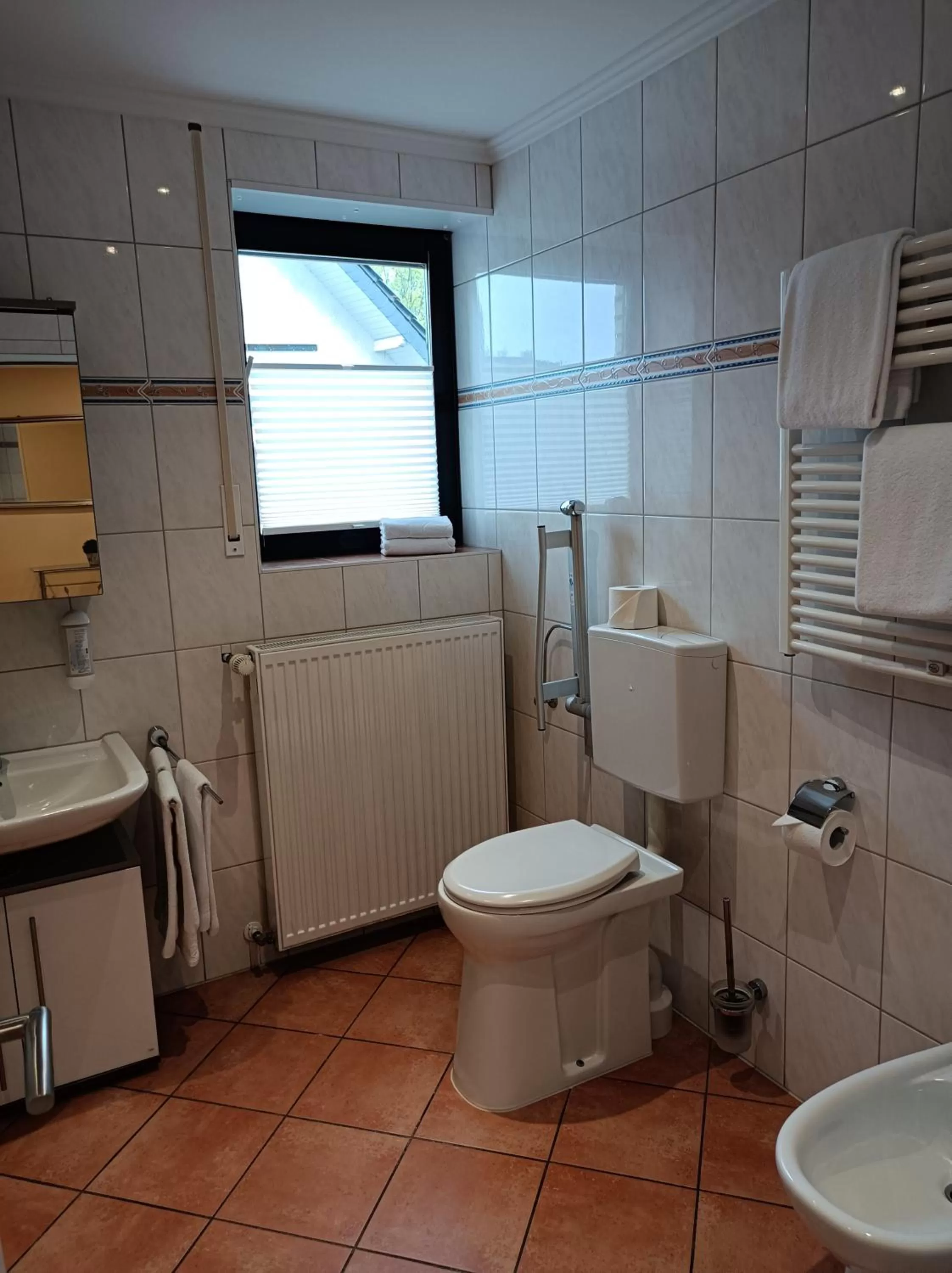 Toilet in Hotel Garni Zum Grünen Baum