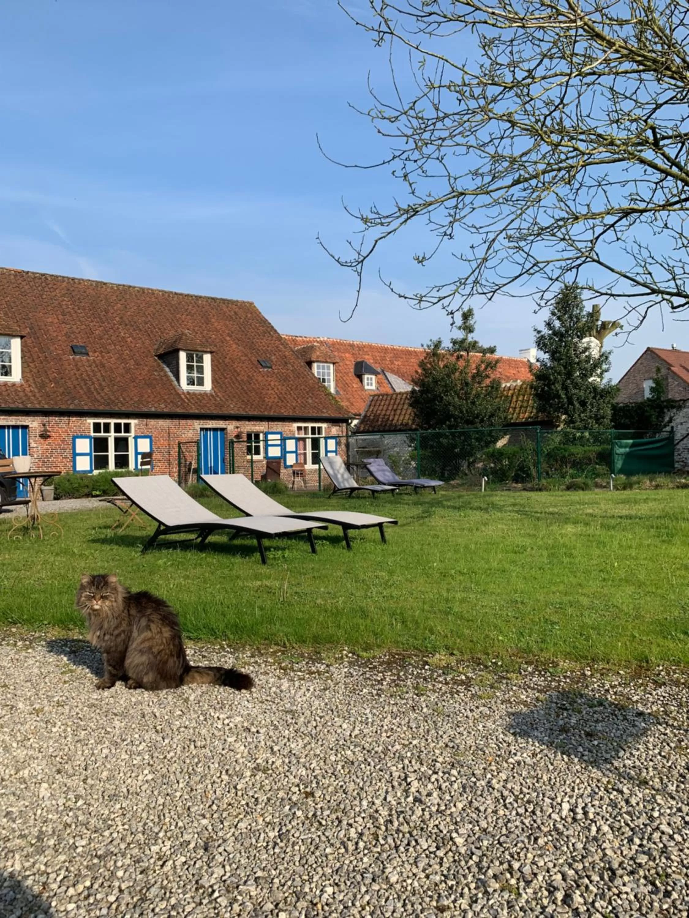 Property Building in Hamiora wellness B&B