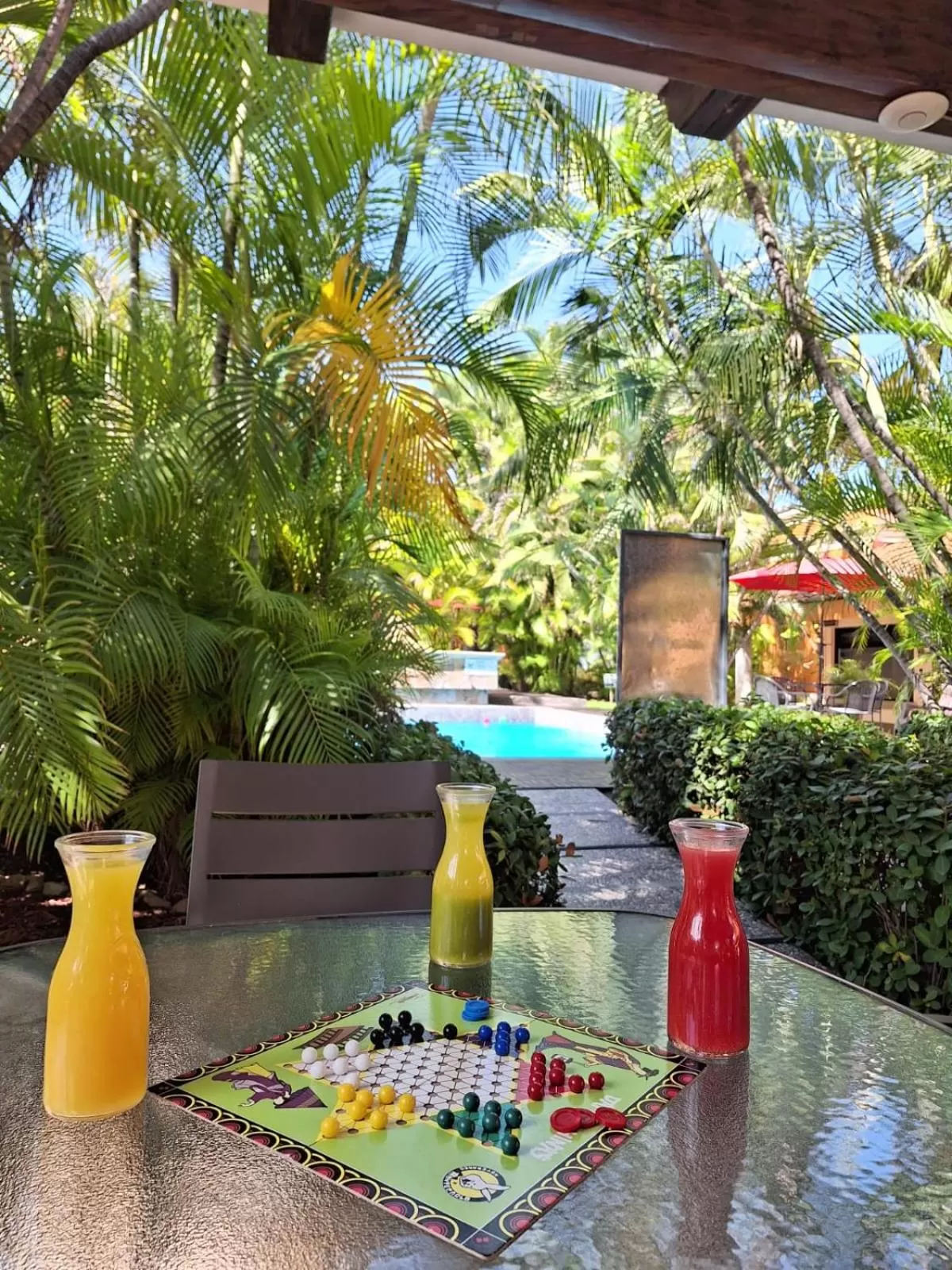 Day in Hotel Palmareca