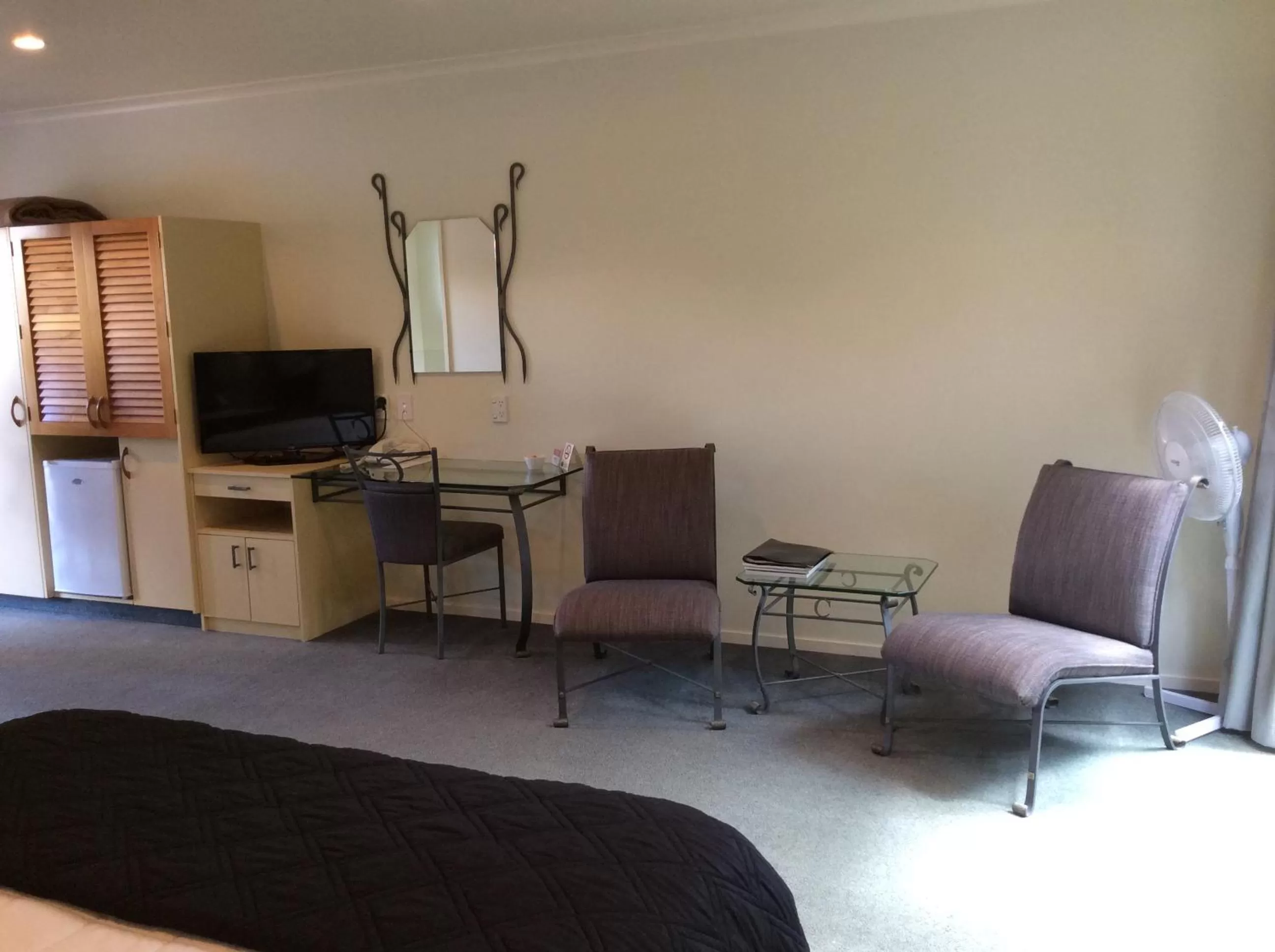 TV and multimedia in Chancellor Motor Lodge and Conference Centre