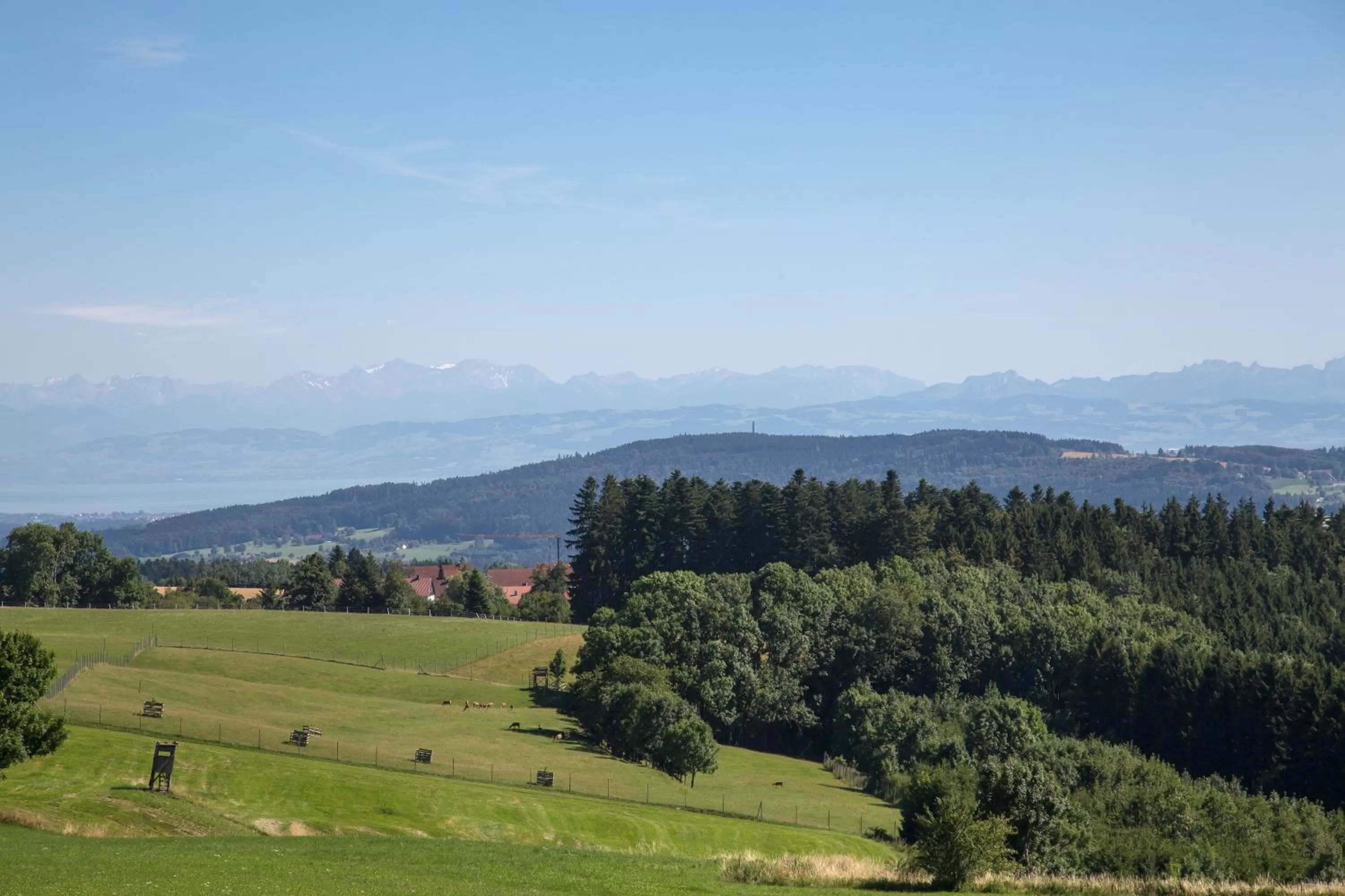 Natural landscape in Berggasthof Höchsten
