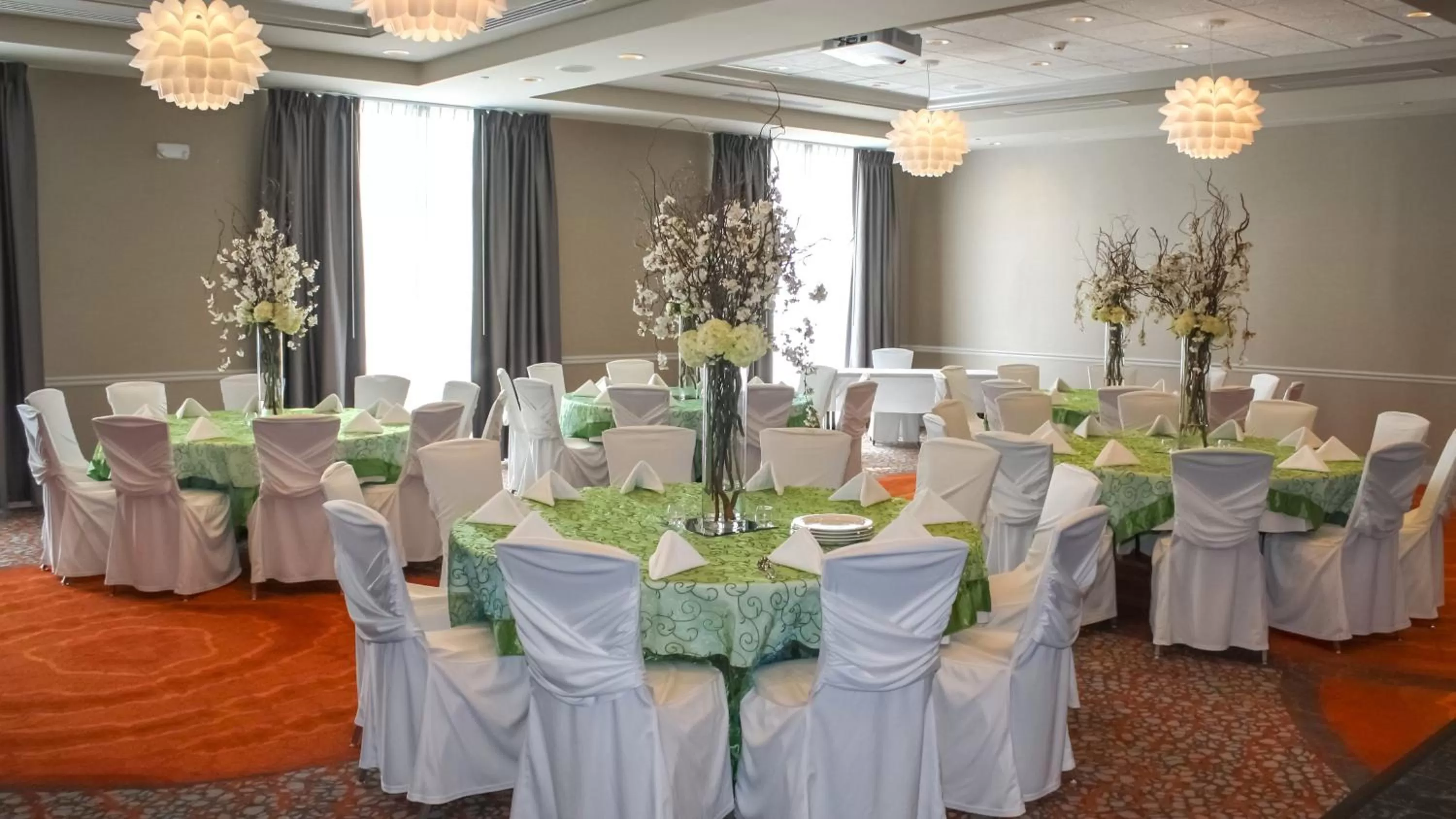 Banquet/Function facilities in Holiday Inn Hotel & Suites Davenport by IHG