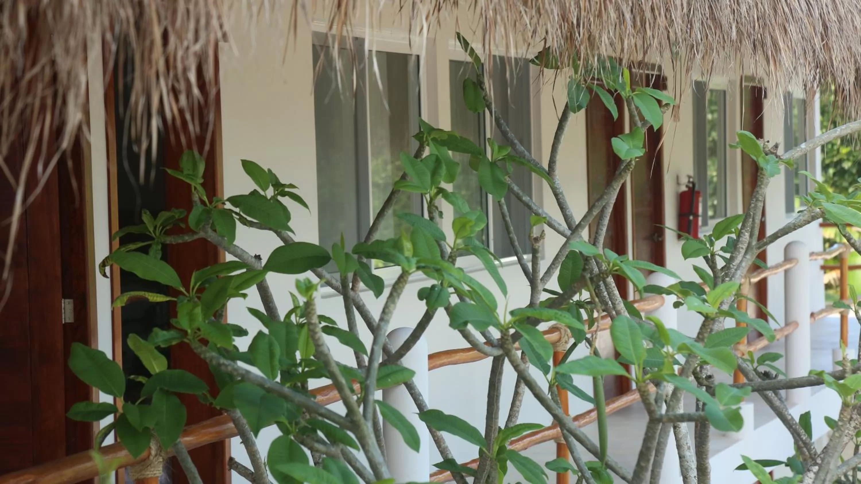 Property building in AGAM Hotel Boutique Bacalar - Adults Only