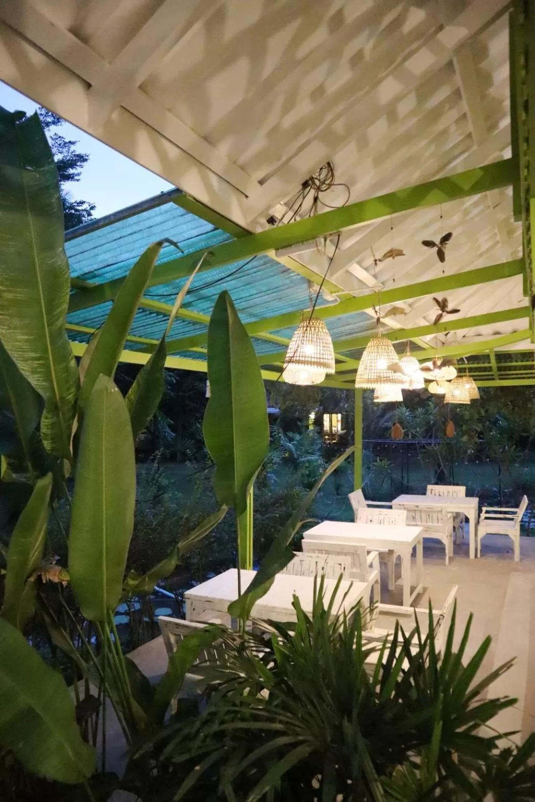 Restaurant/places to eat in Baan Bua Cottage SHA EXTRA PLUS B5510