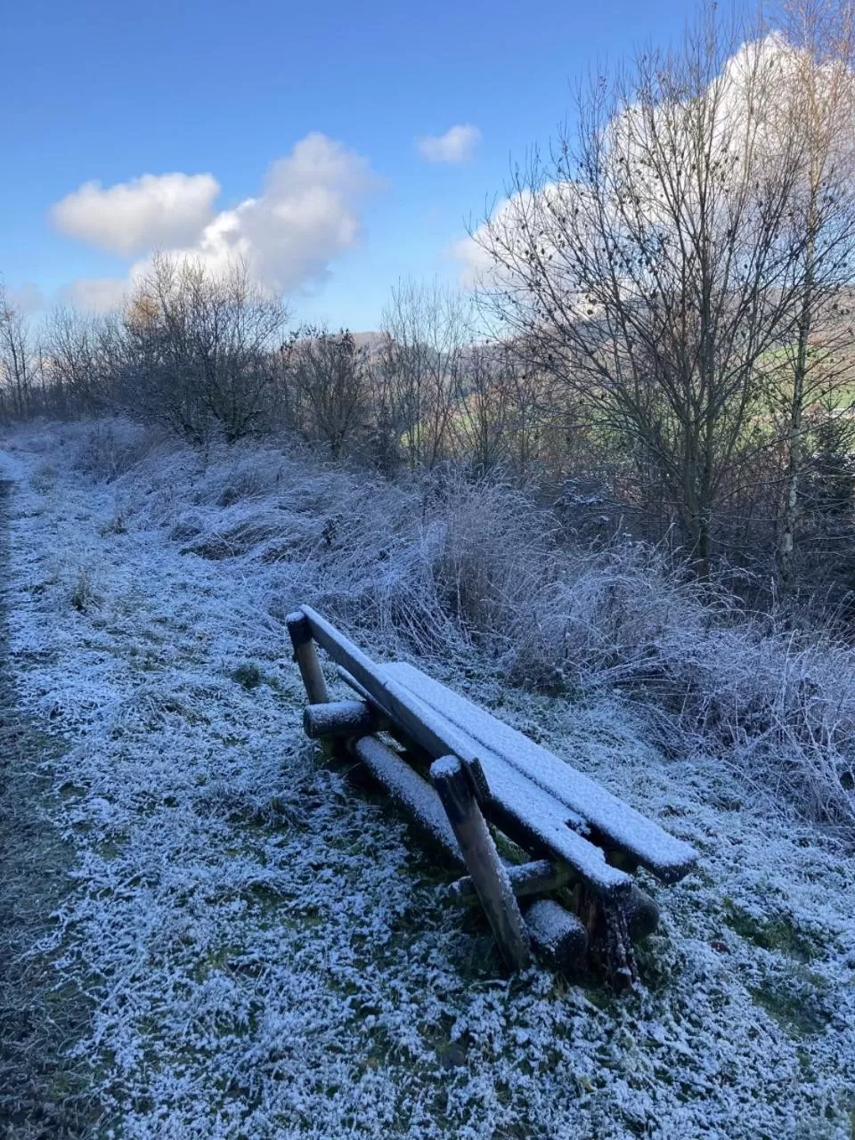 Area and facilities, Garden in Bed & Breakfast Weisser Stein