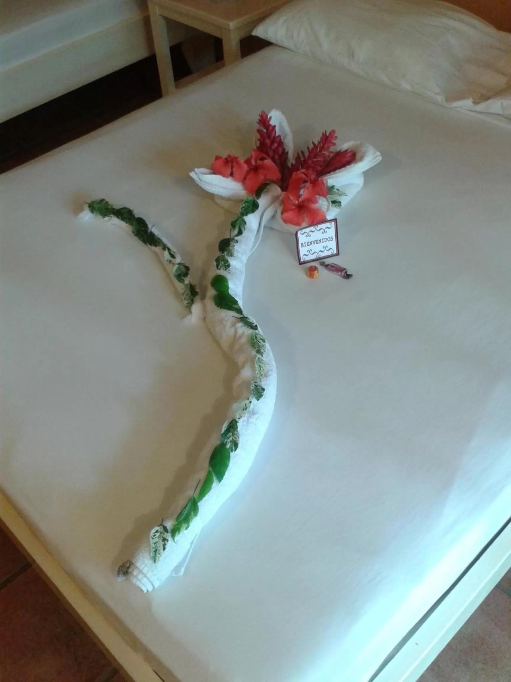 Decorative detail, Bed in Hotel El Paraiso Escondido - Costa Rica