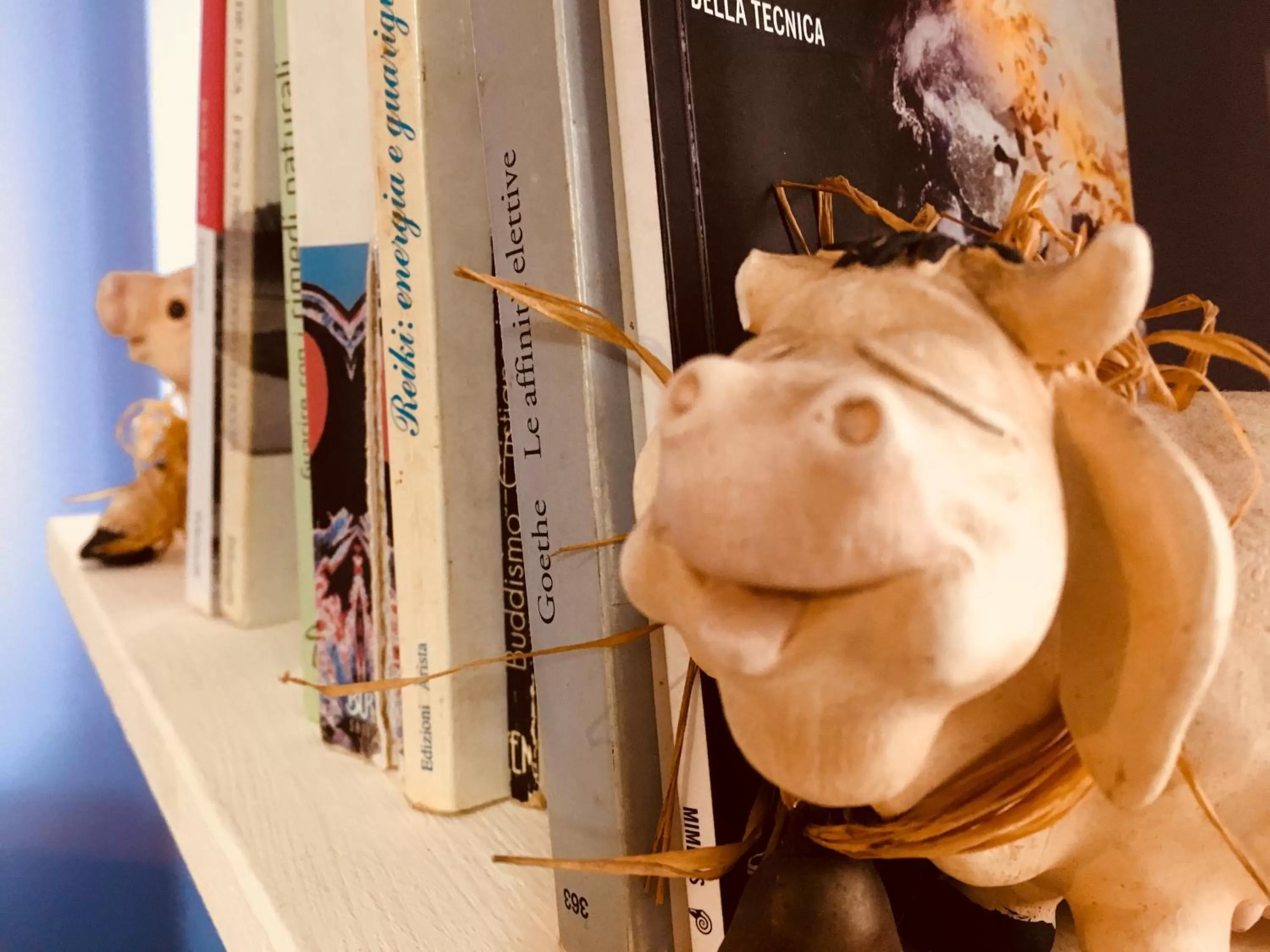 Library in B&B La Semplice Nel Verde