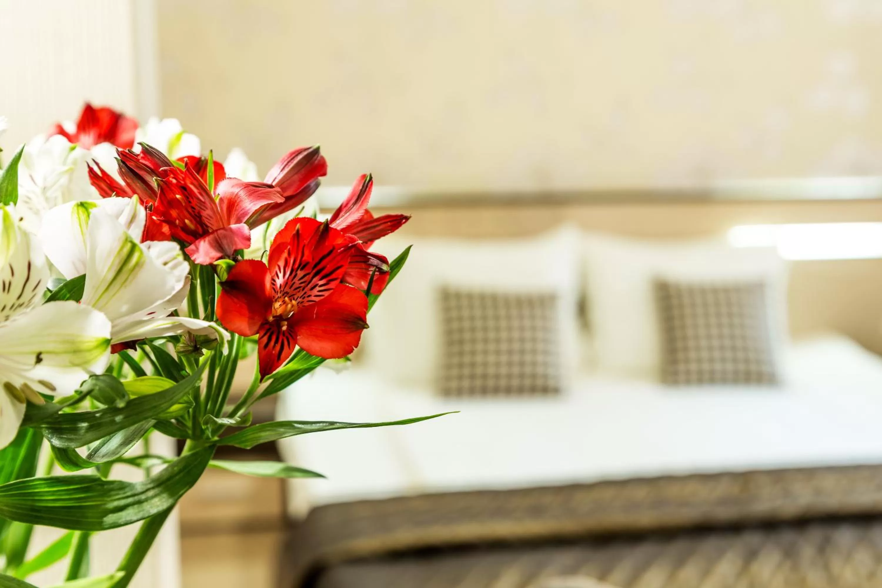 Bed in City Avenue Hotel