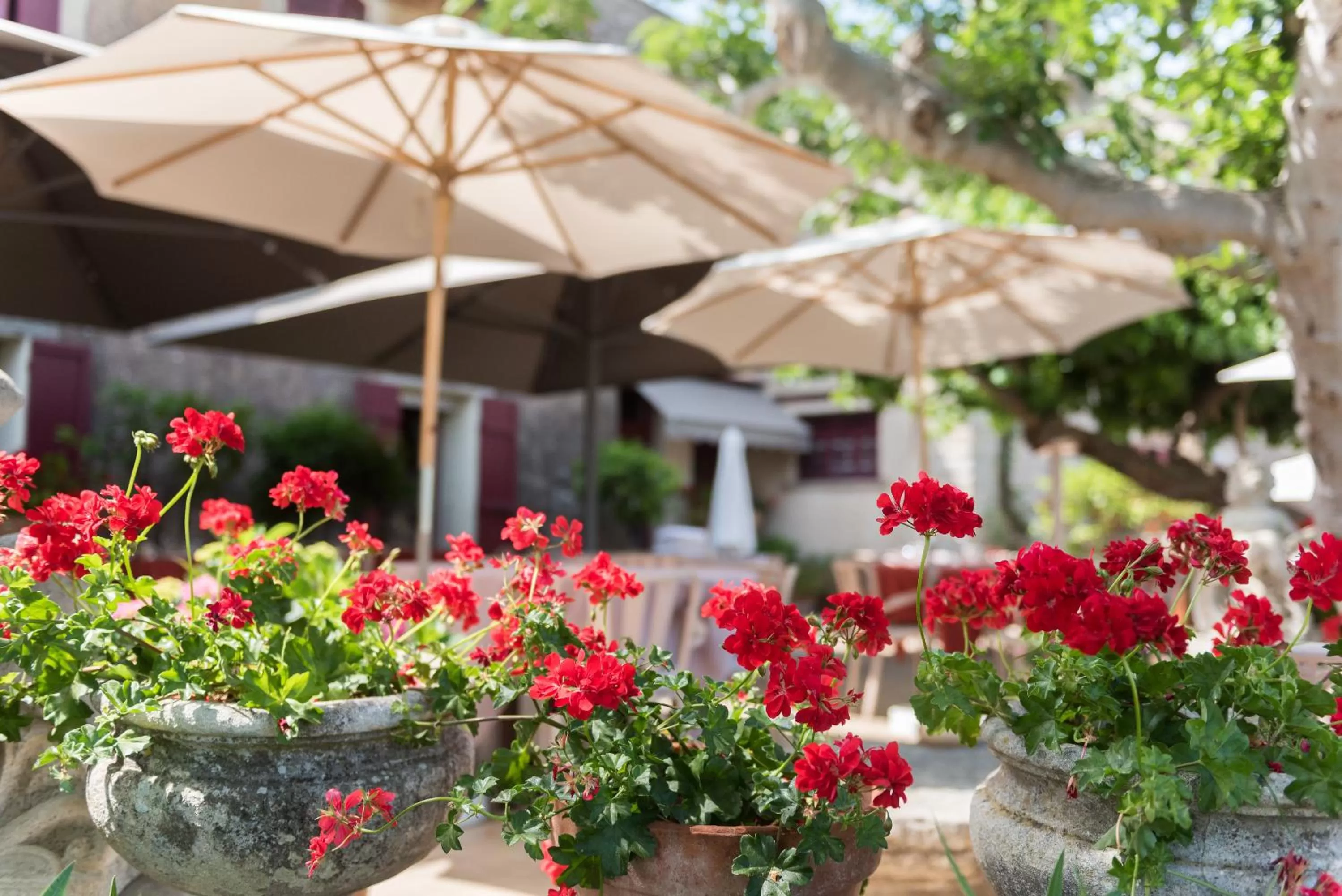 Spring in Domaine du Lac - Teritoria