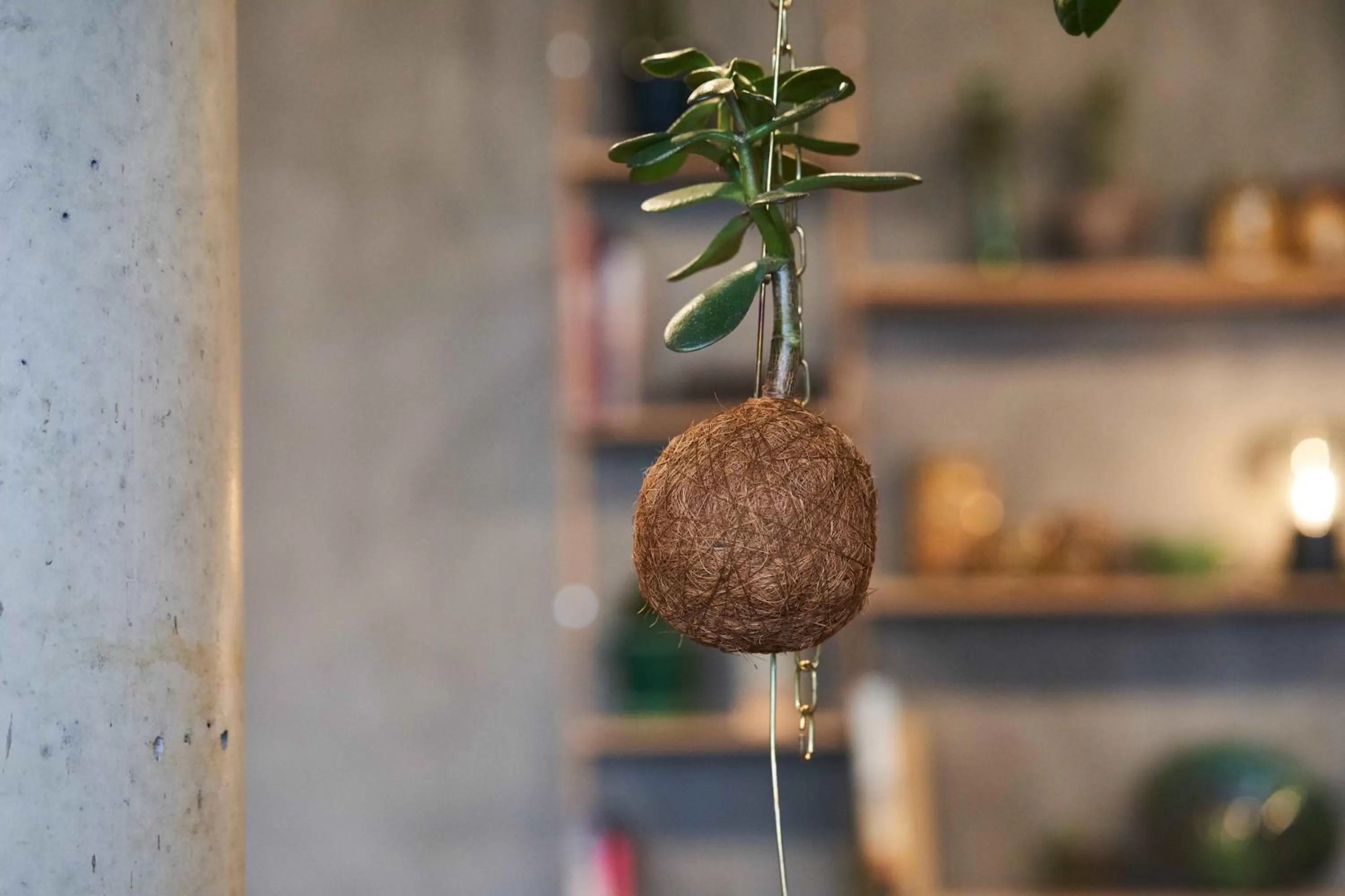 Lounge or bar in Hotel GUESTapart