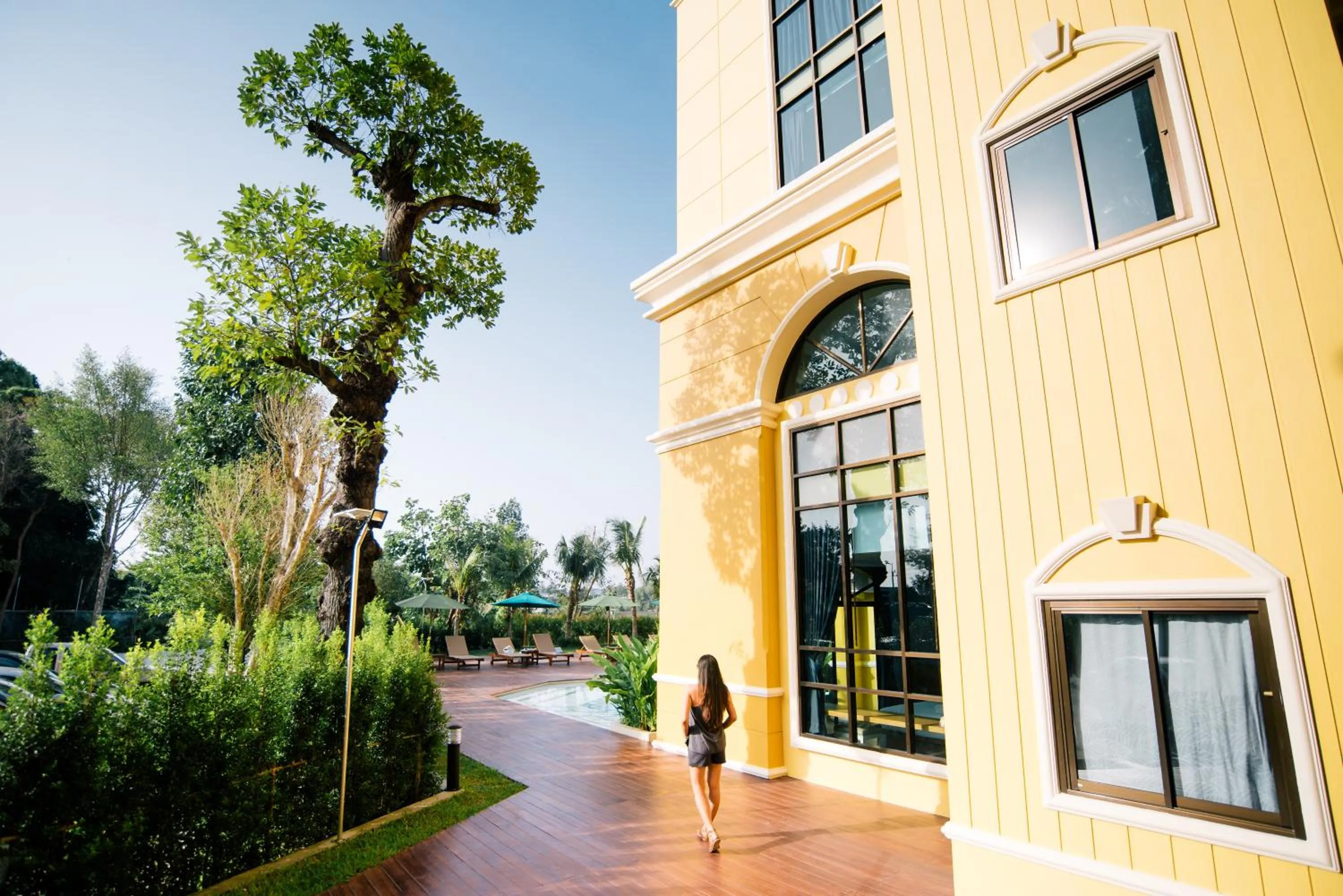 Garden view in ROYAL PINEAPPLE HOTEL l a welcome to wealth and good fortune