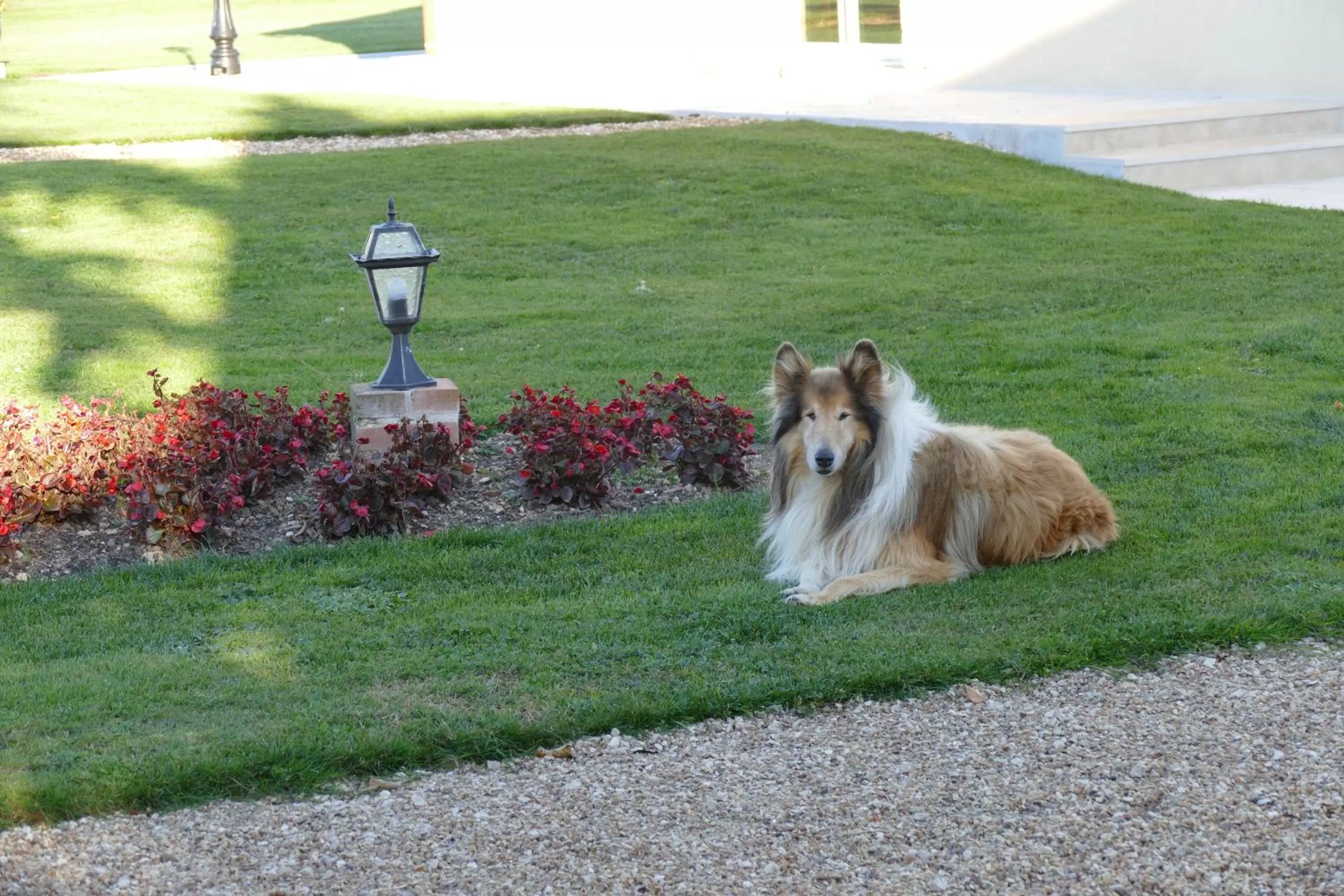 Day in Le Clos des Perraudières