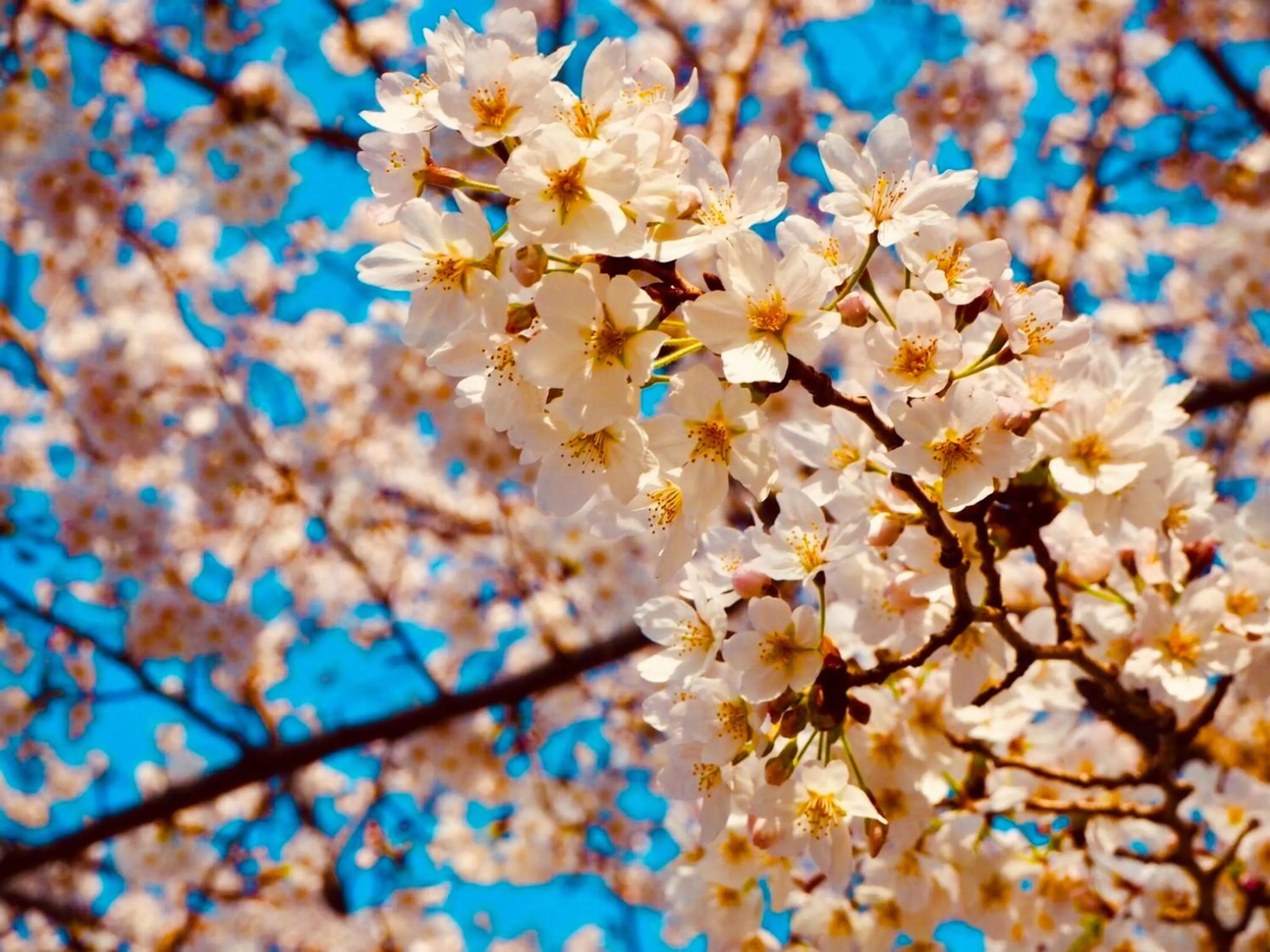 Nearby landmark in APA Hotel Asakusa Ekimae