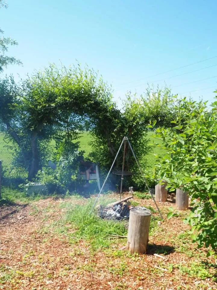 BBQ facilities in BnB Entensee