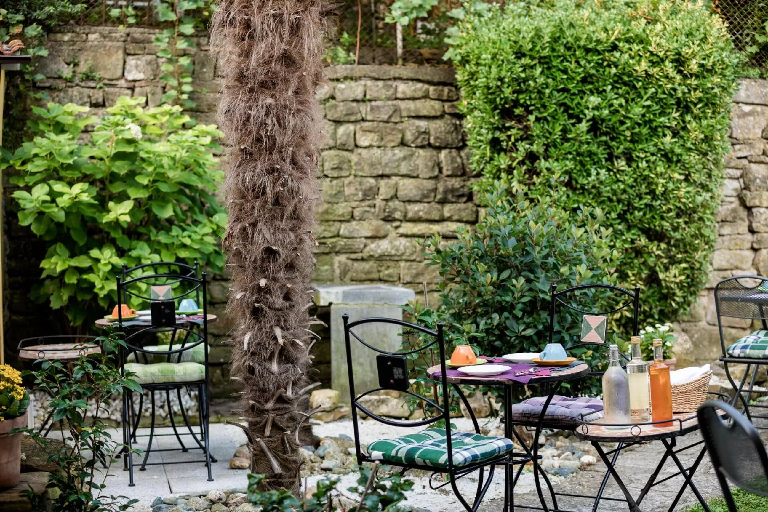 Garden, Restaurant/Places to Eat in B&B Miracolo di Mare Retro