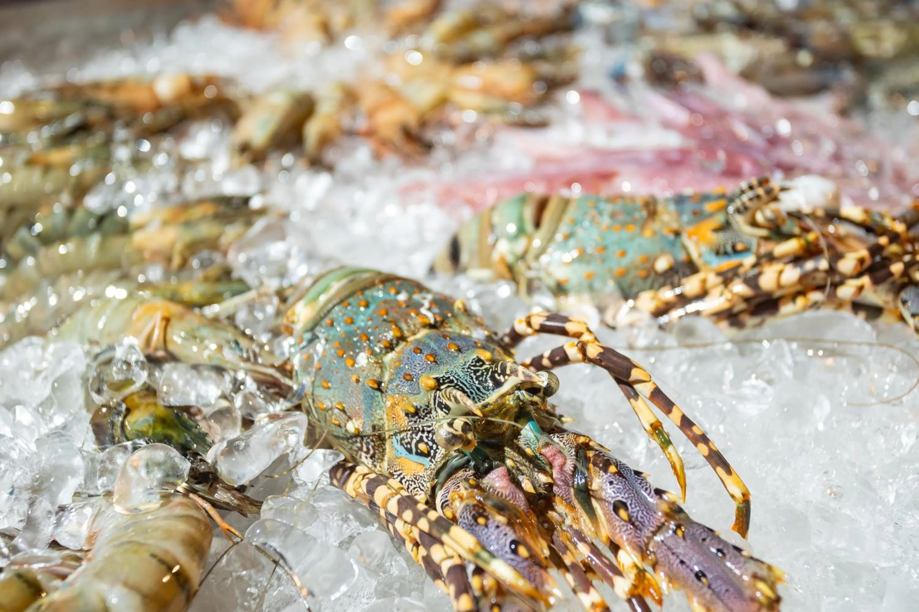 BBQ facilities in Baan Chaweng Beach Resort & Spa - SHA Extra Plus