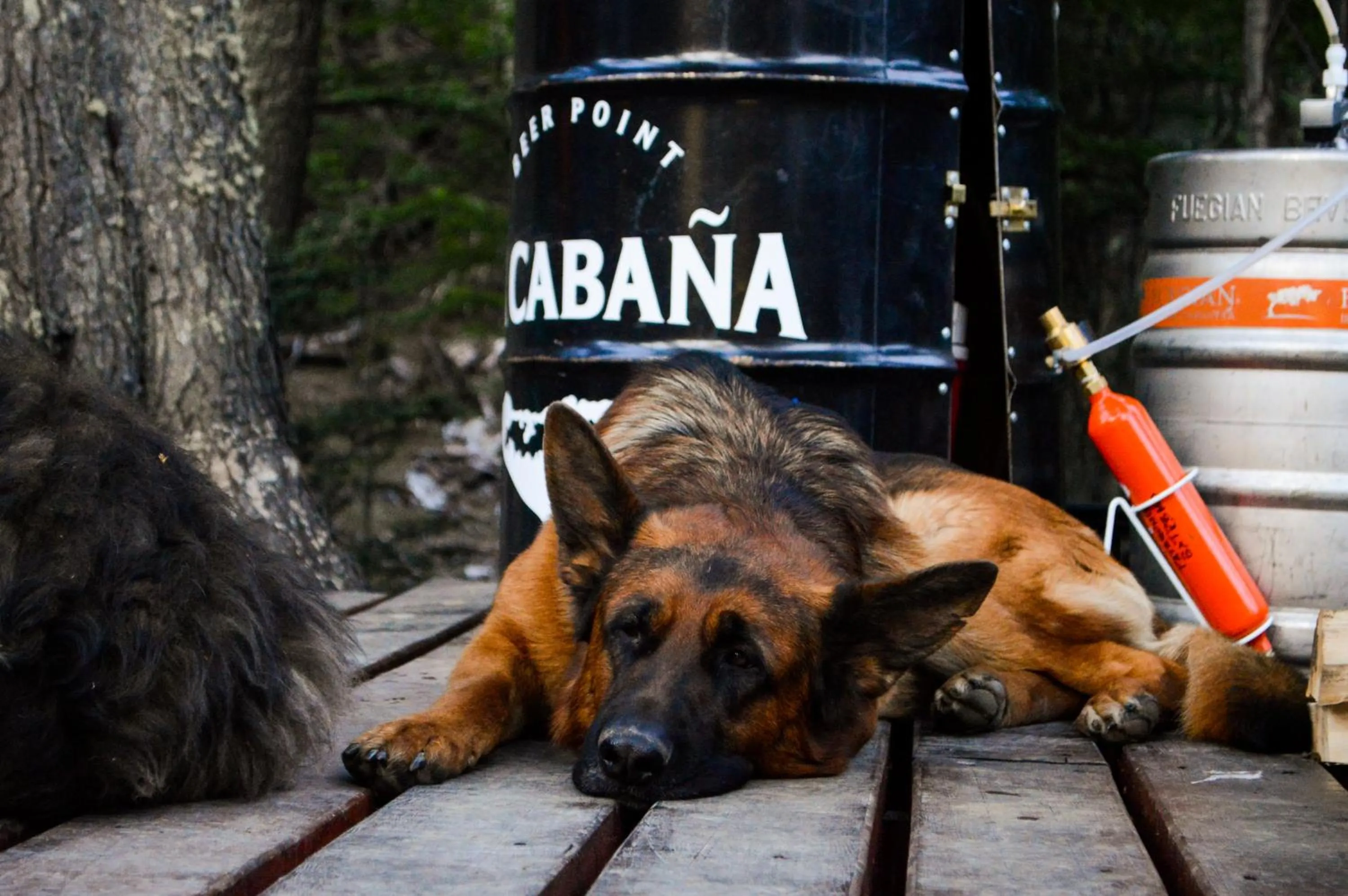 Lounge or bar in Cumbres Del Martial